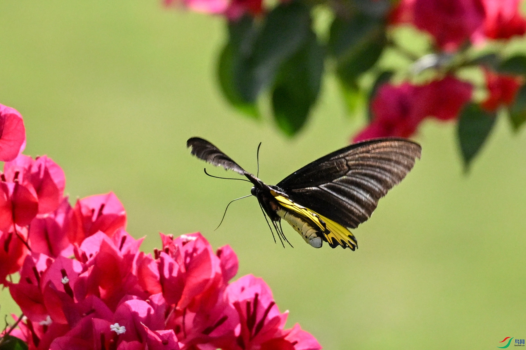 DSC_3586.JPG