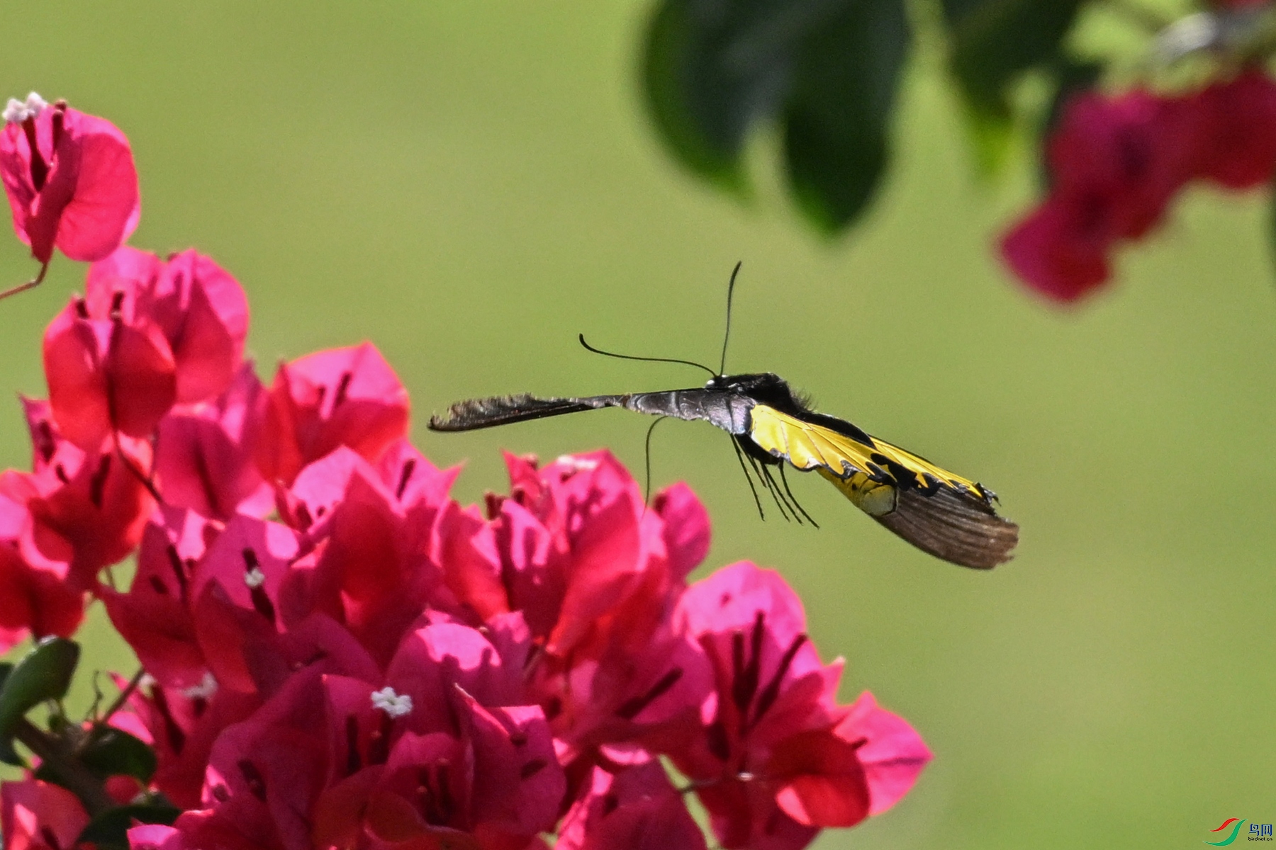 DSC_3587.JPG