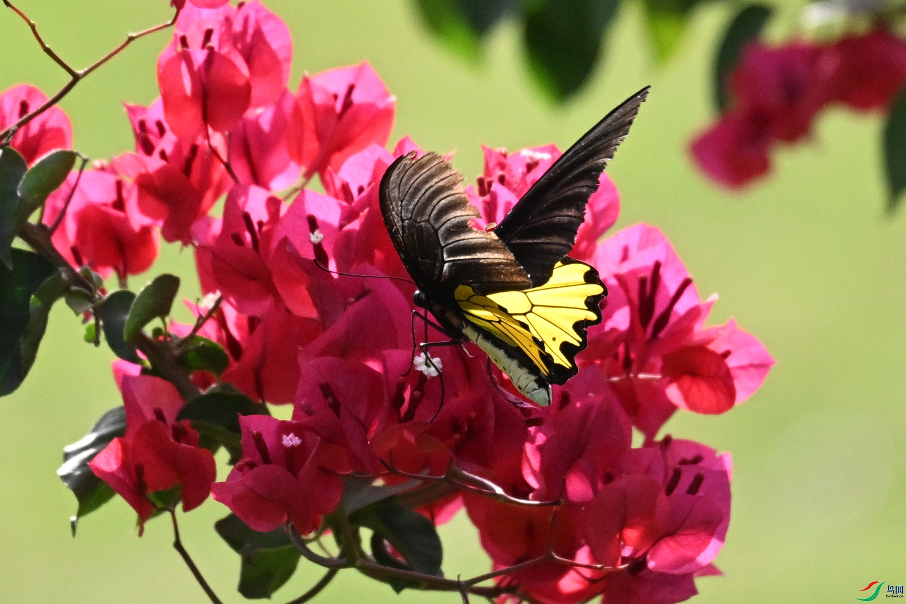 DSC_3588.JPG