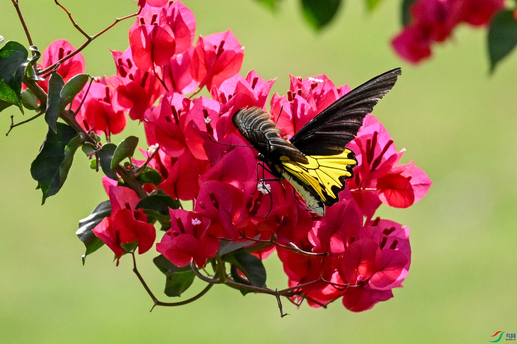 DSC_3591.JPG