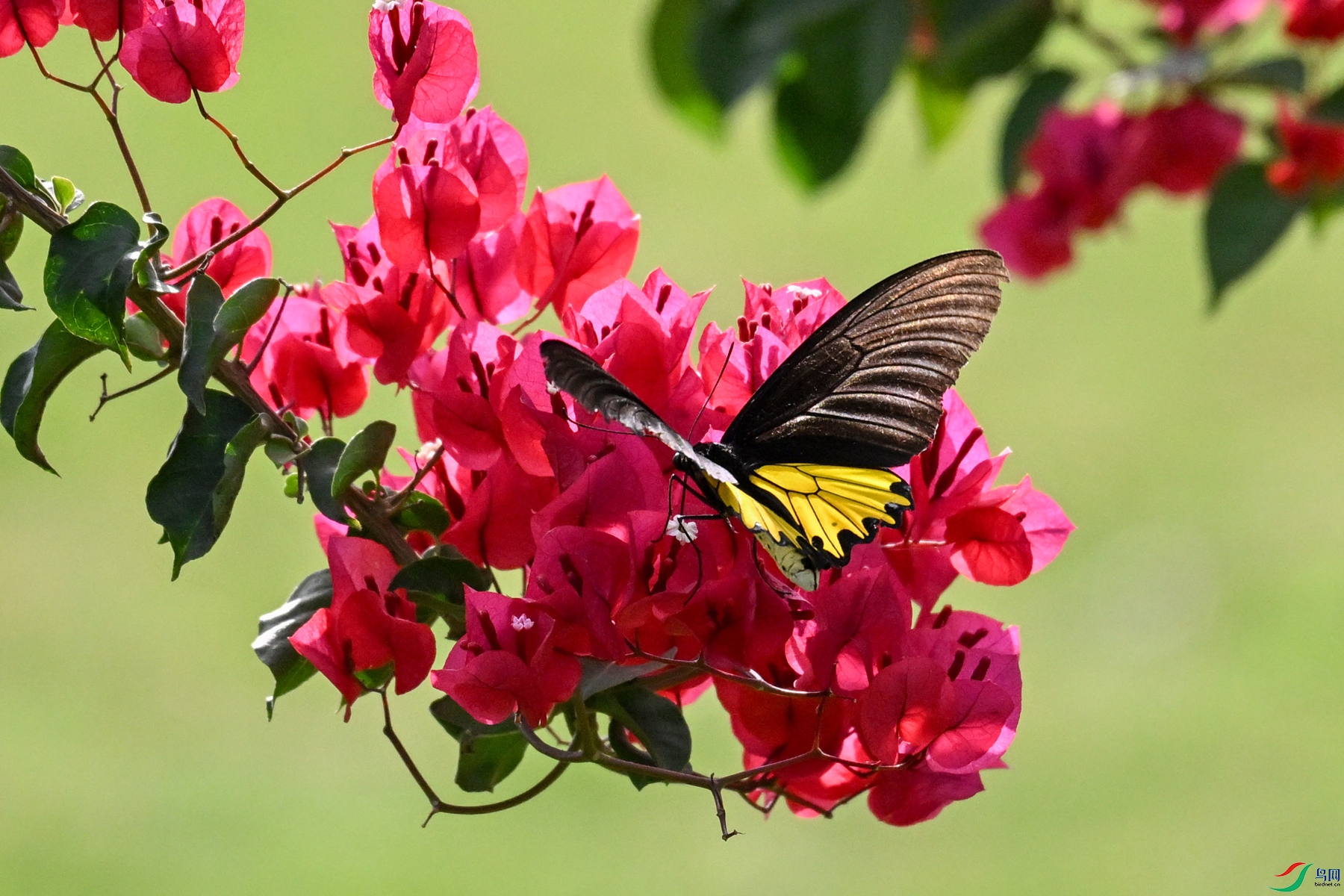 DSC_3590.JPG
