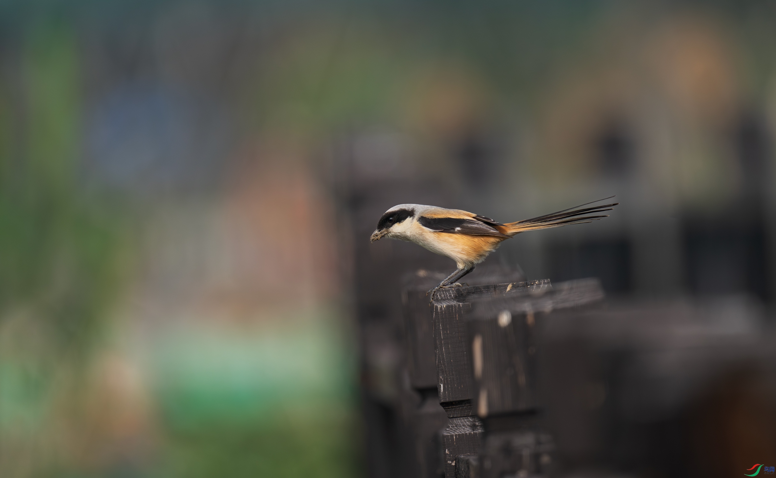 DSC_3665.jpg