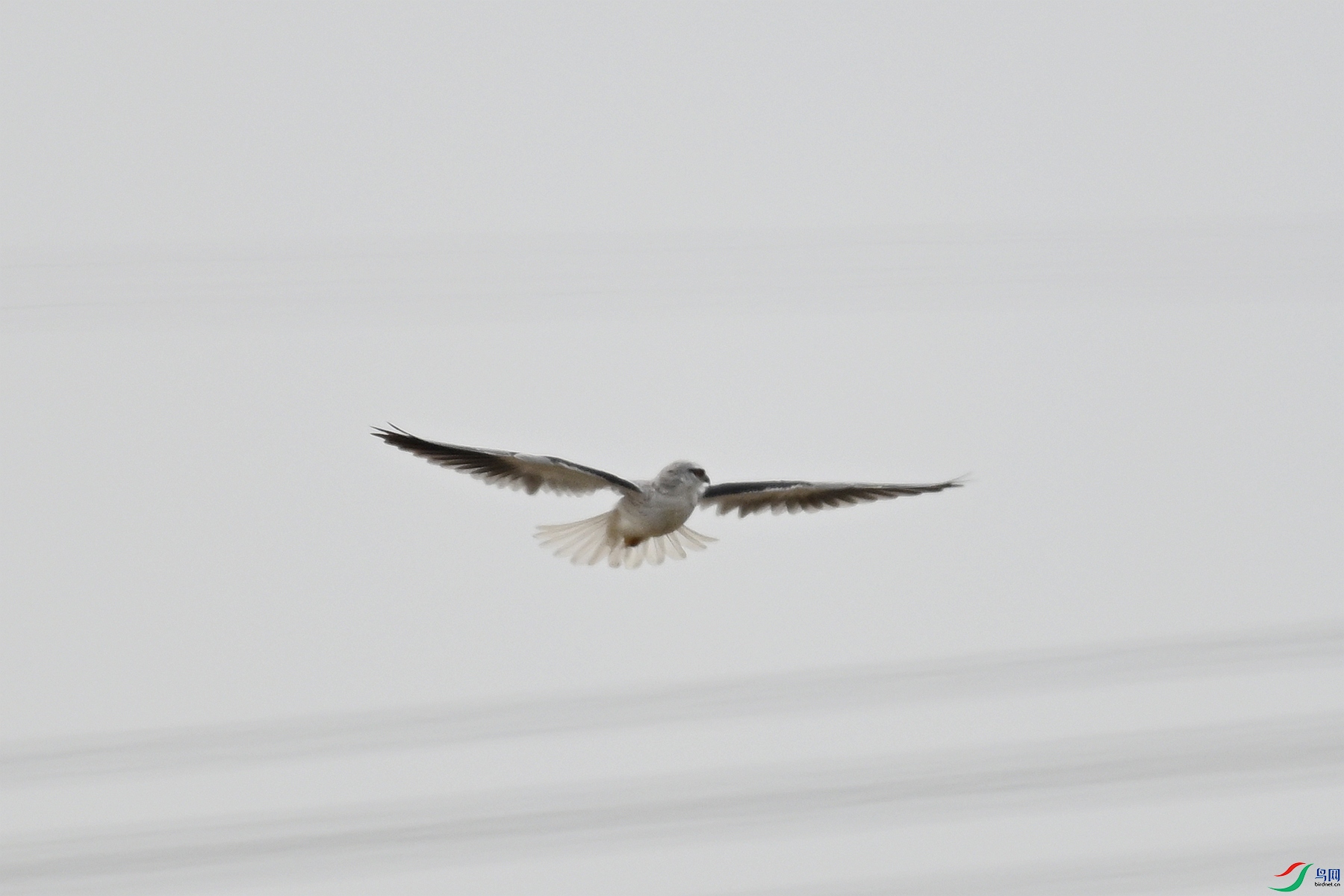 DSC_8002.JPG