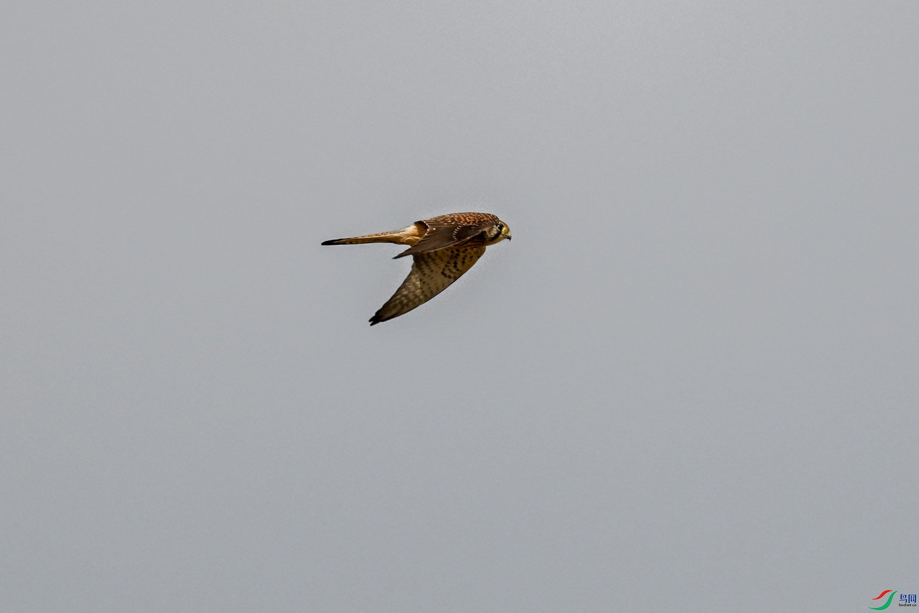 DSC_8146.JPG