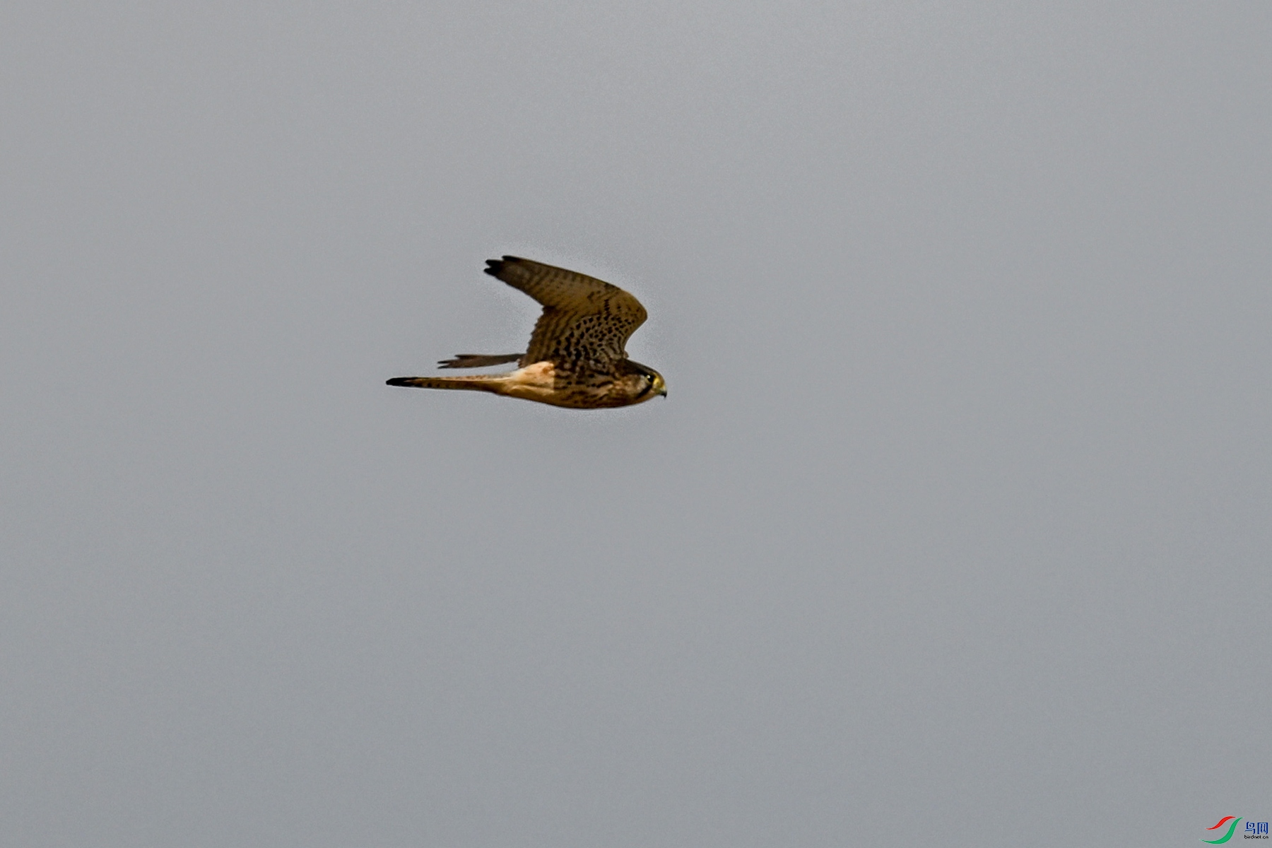 DSC_8147.JPG