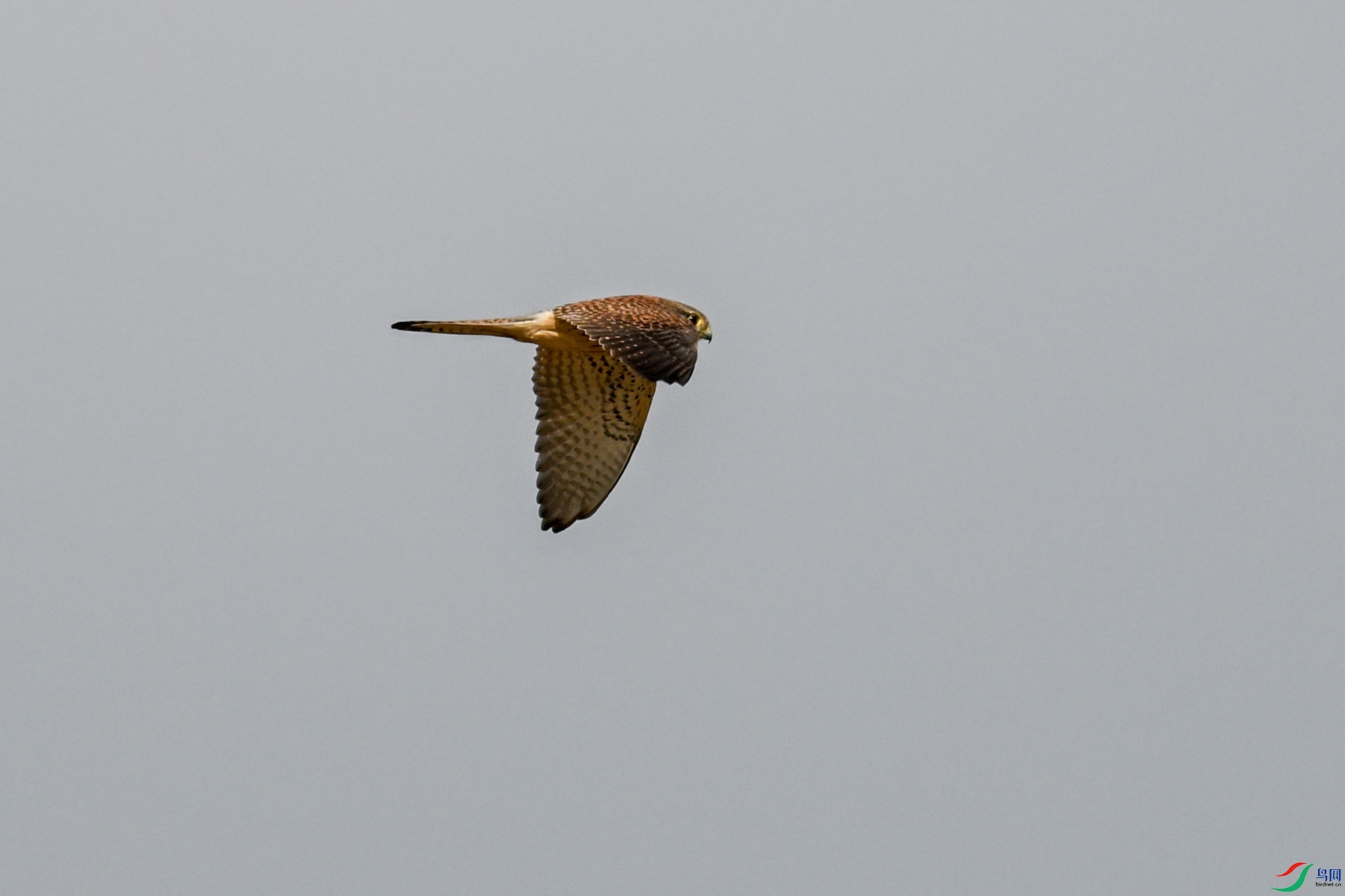 DSC_8149.JPG