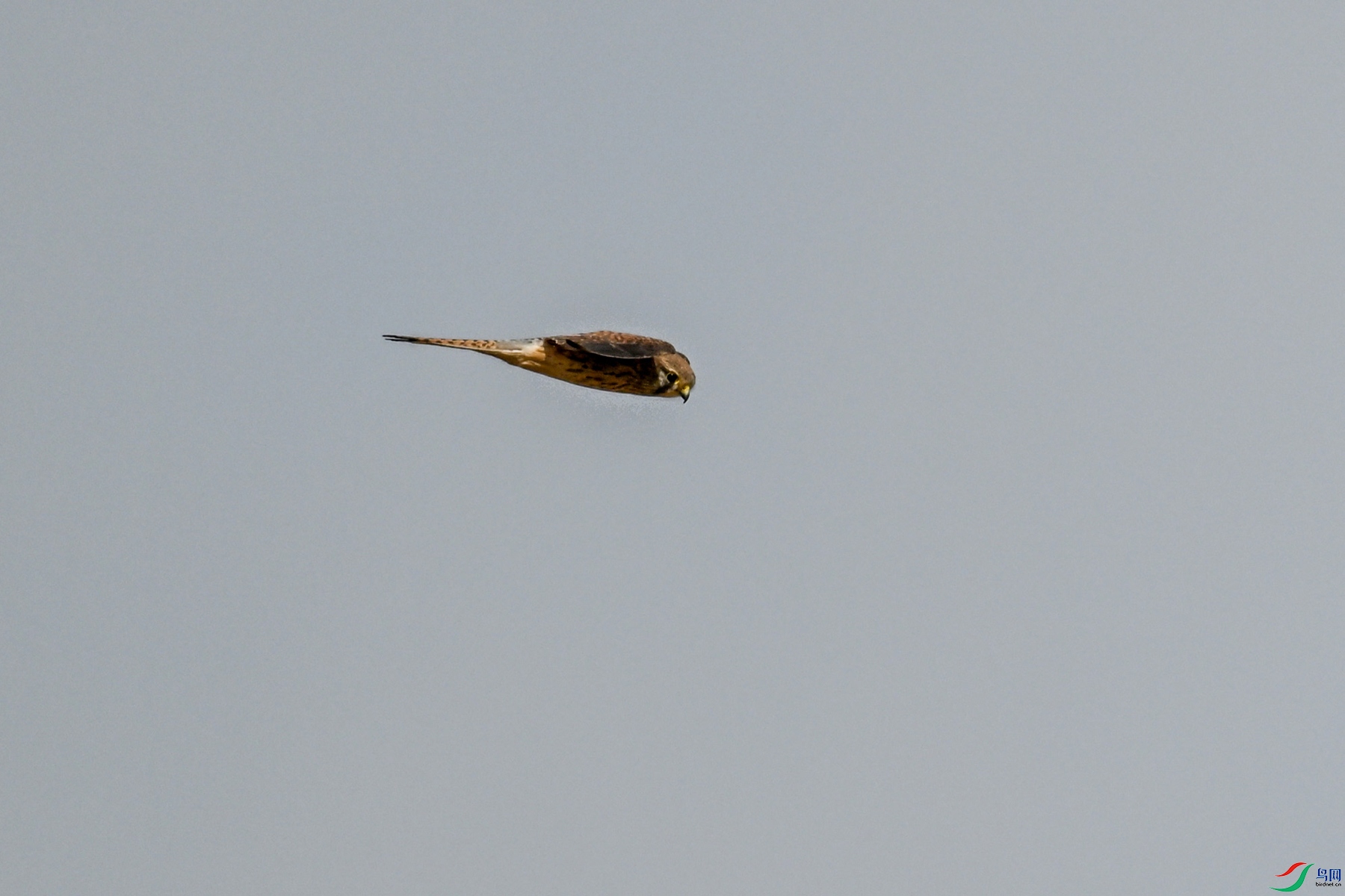 DSC_8152.JPG