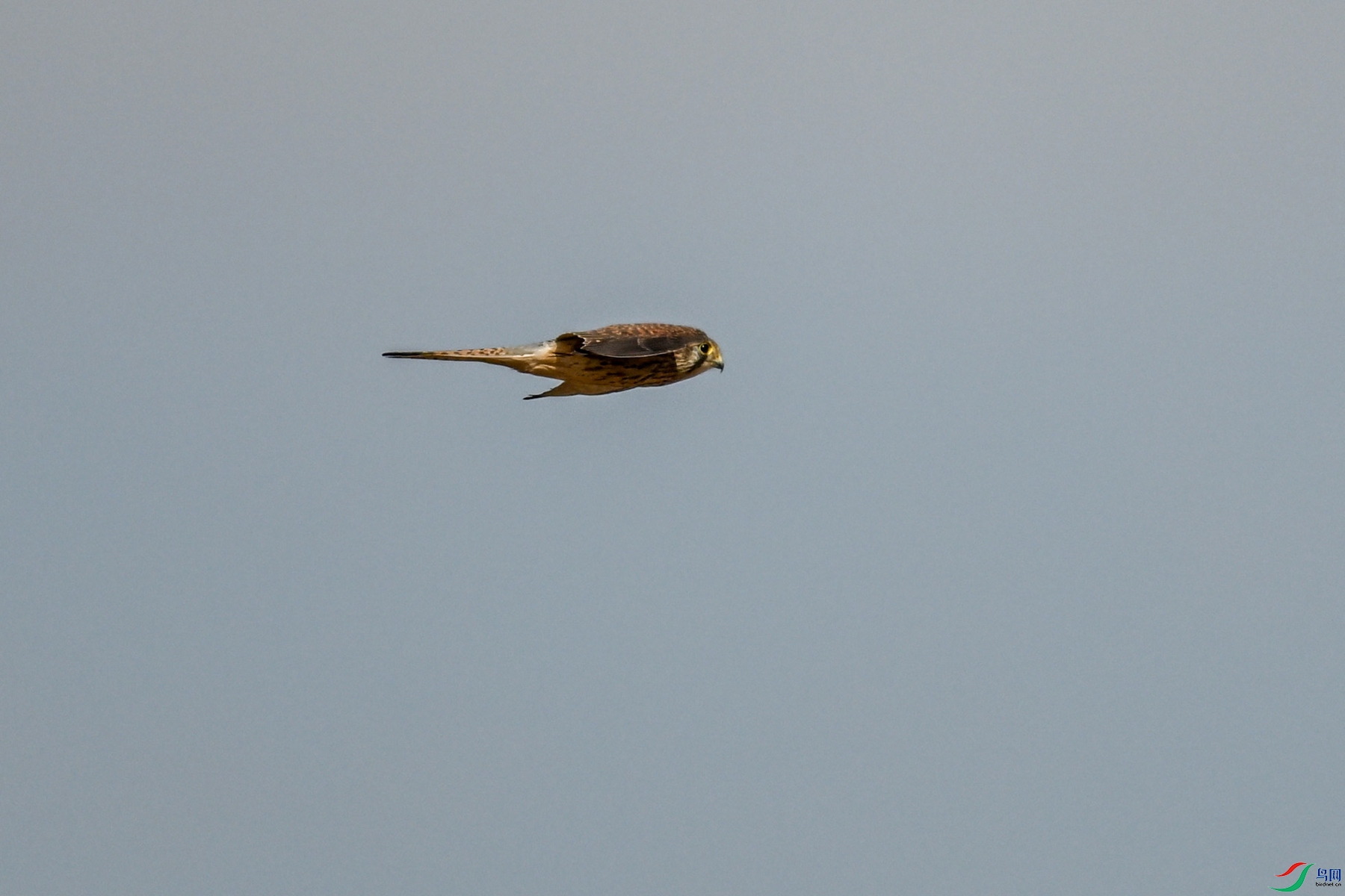 DSC_8159.JPG