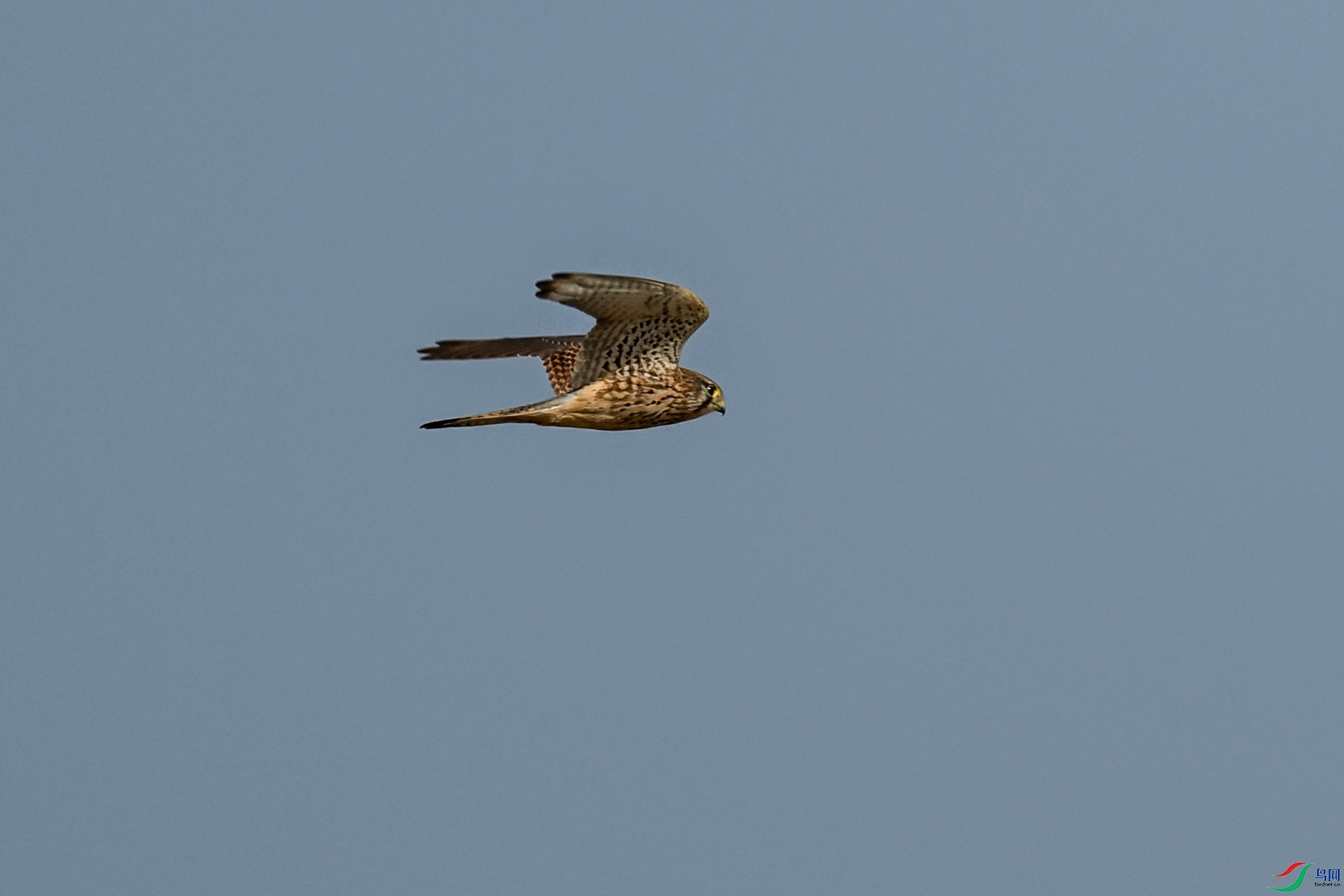 DSC_8160.JPG