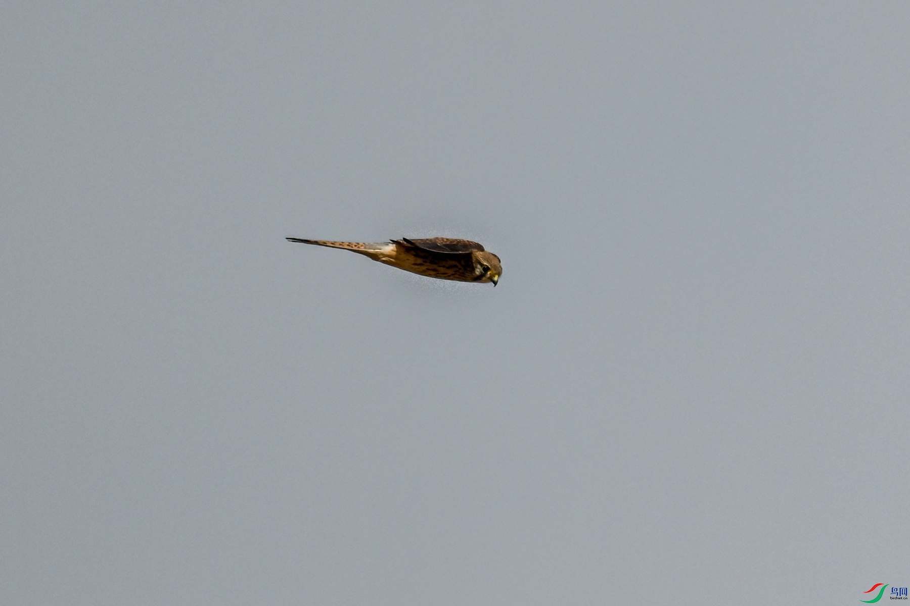 DSC_8151.JPG