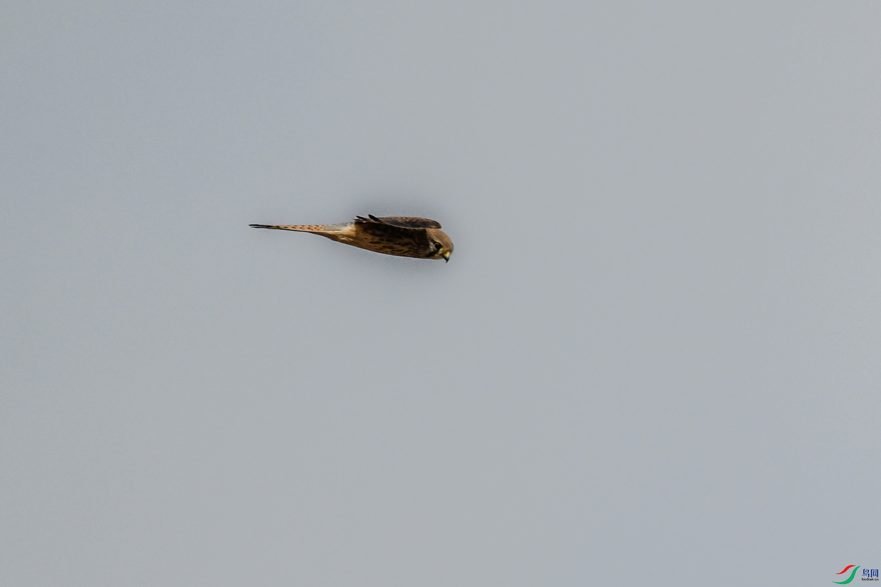 DSC_8153.JPG