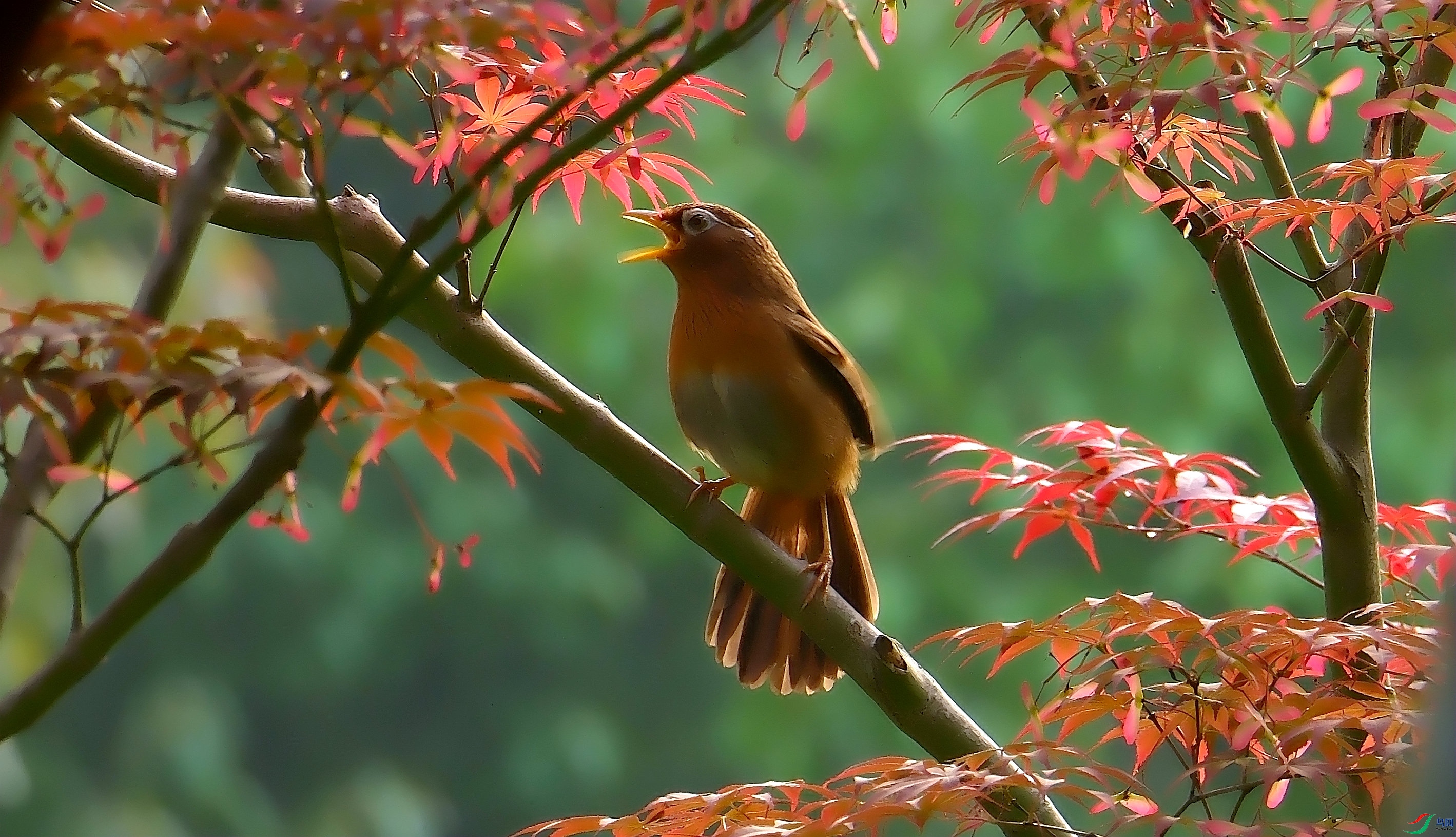 DSCF5938.jpg