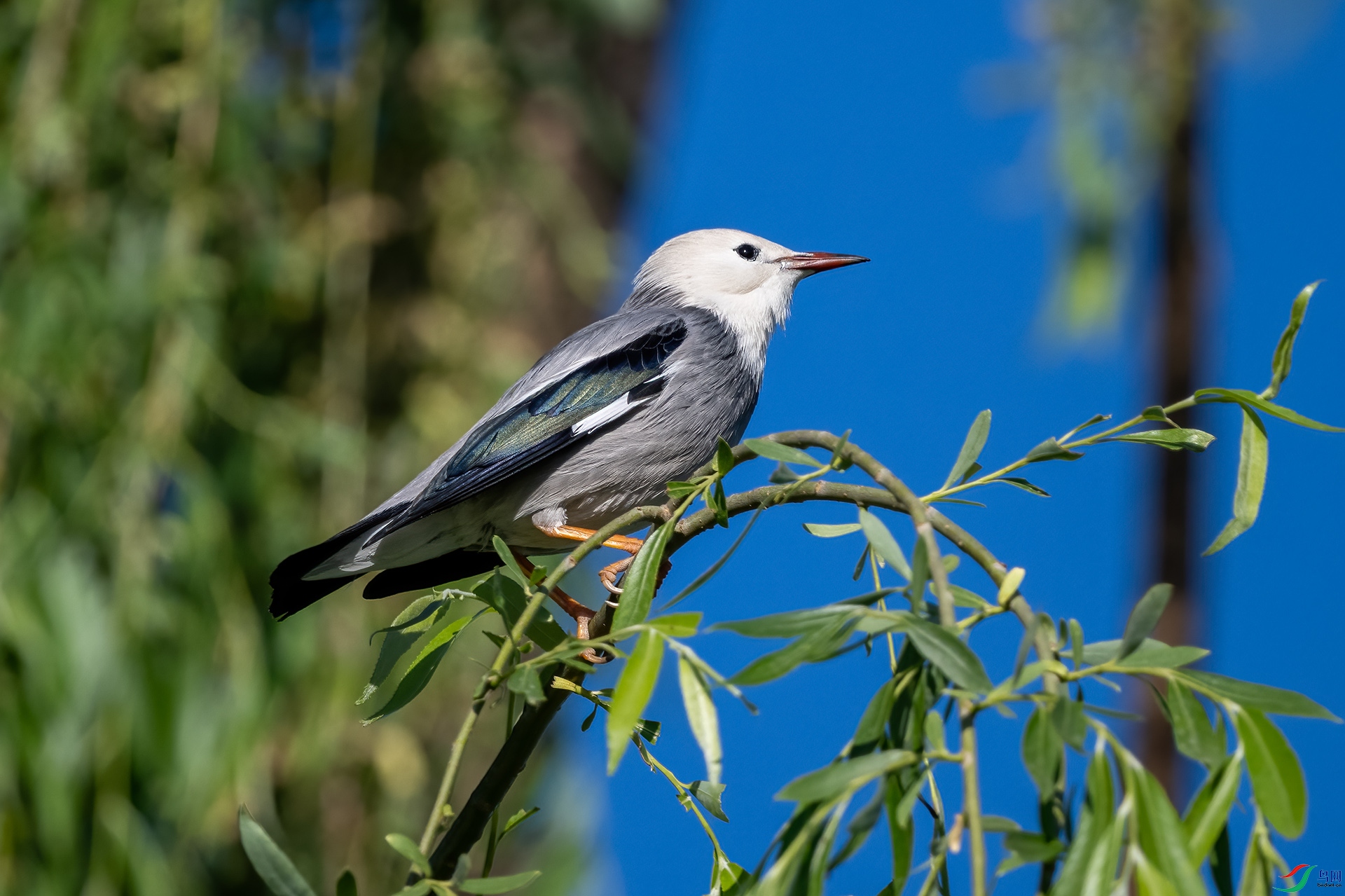 _DSC6989-.jpg