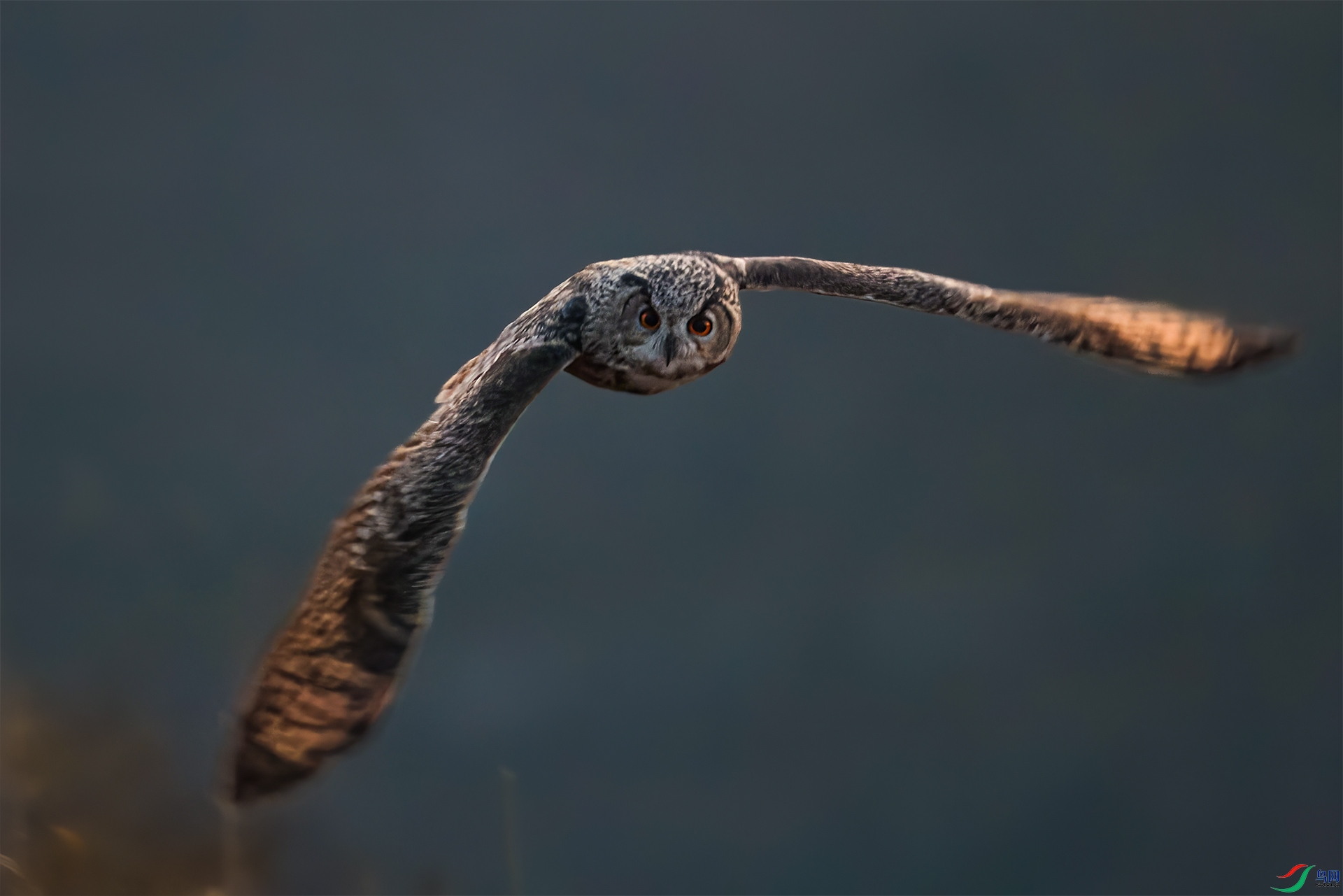 3E9A7709-1-1.jpg