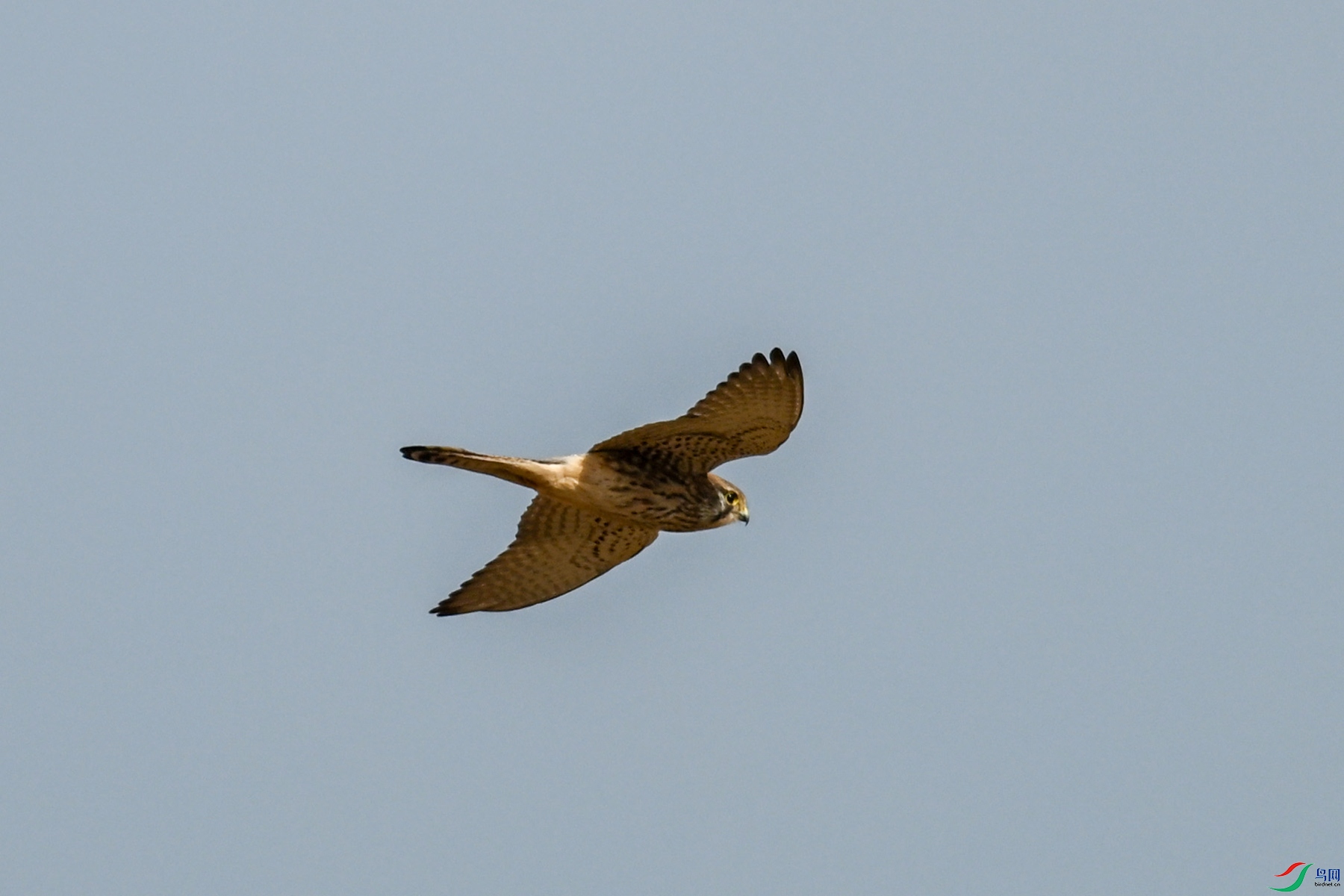 DSC_8168.JPG