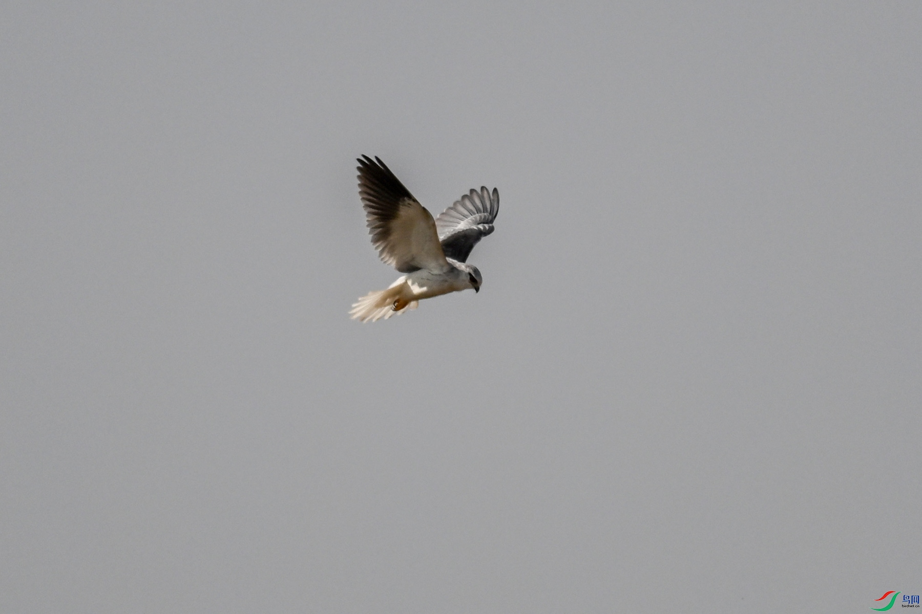 DSC_8176.JPG