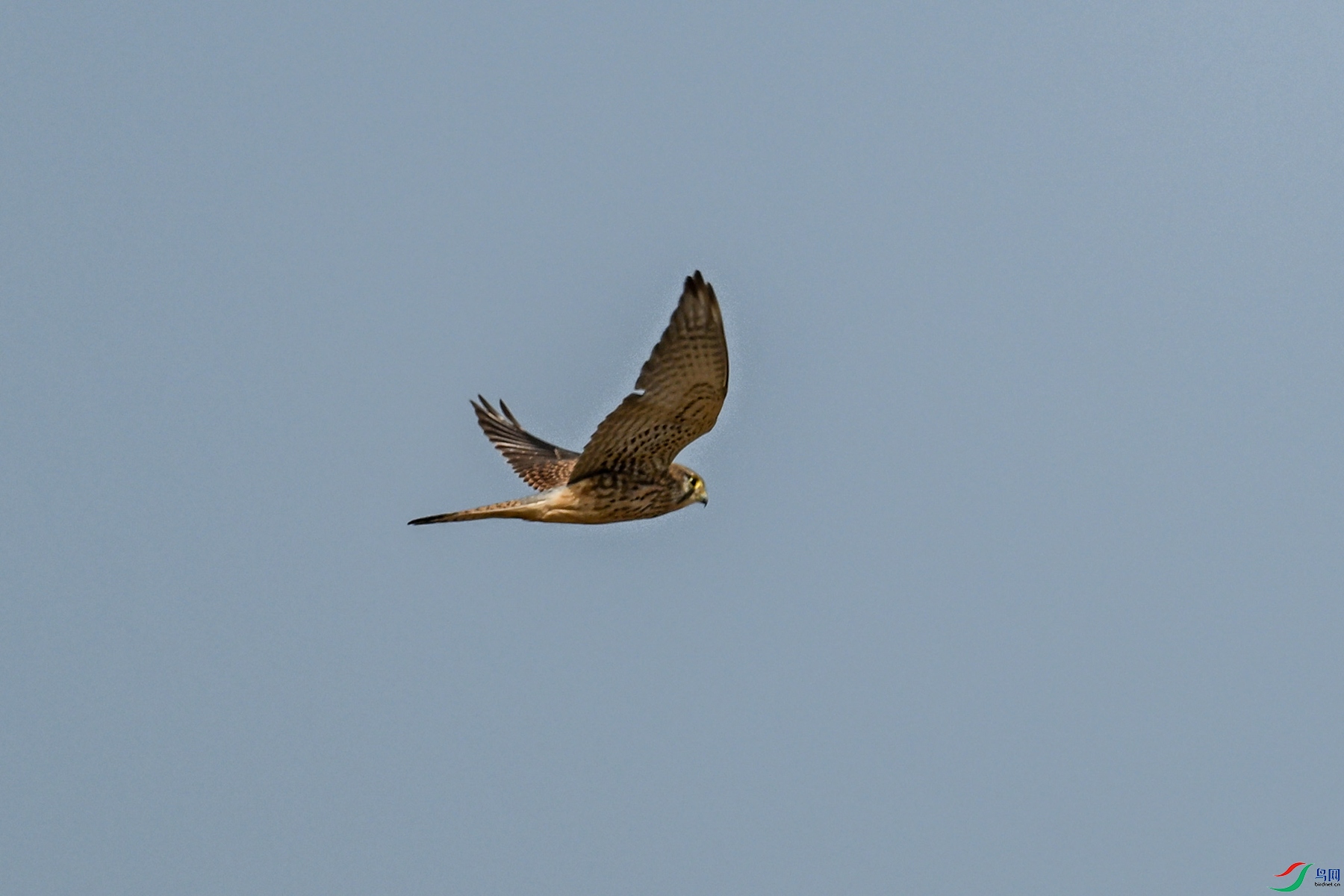 DSC_8161.JPG