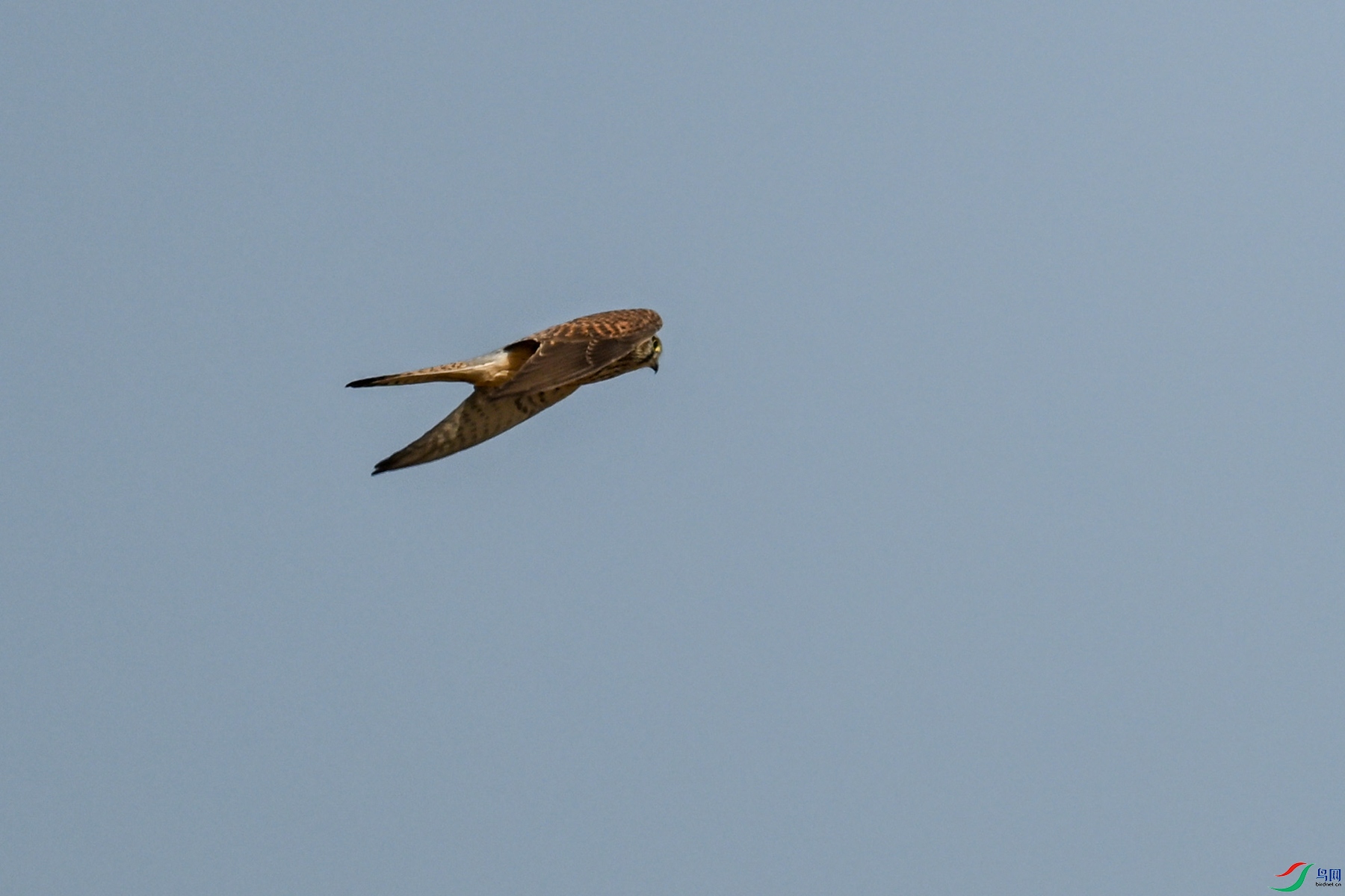 DSC_8163.JPG
