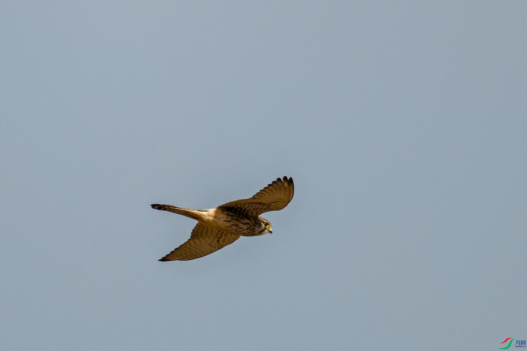 DSC_8169.JPG
