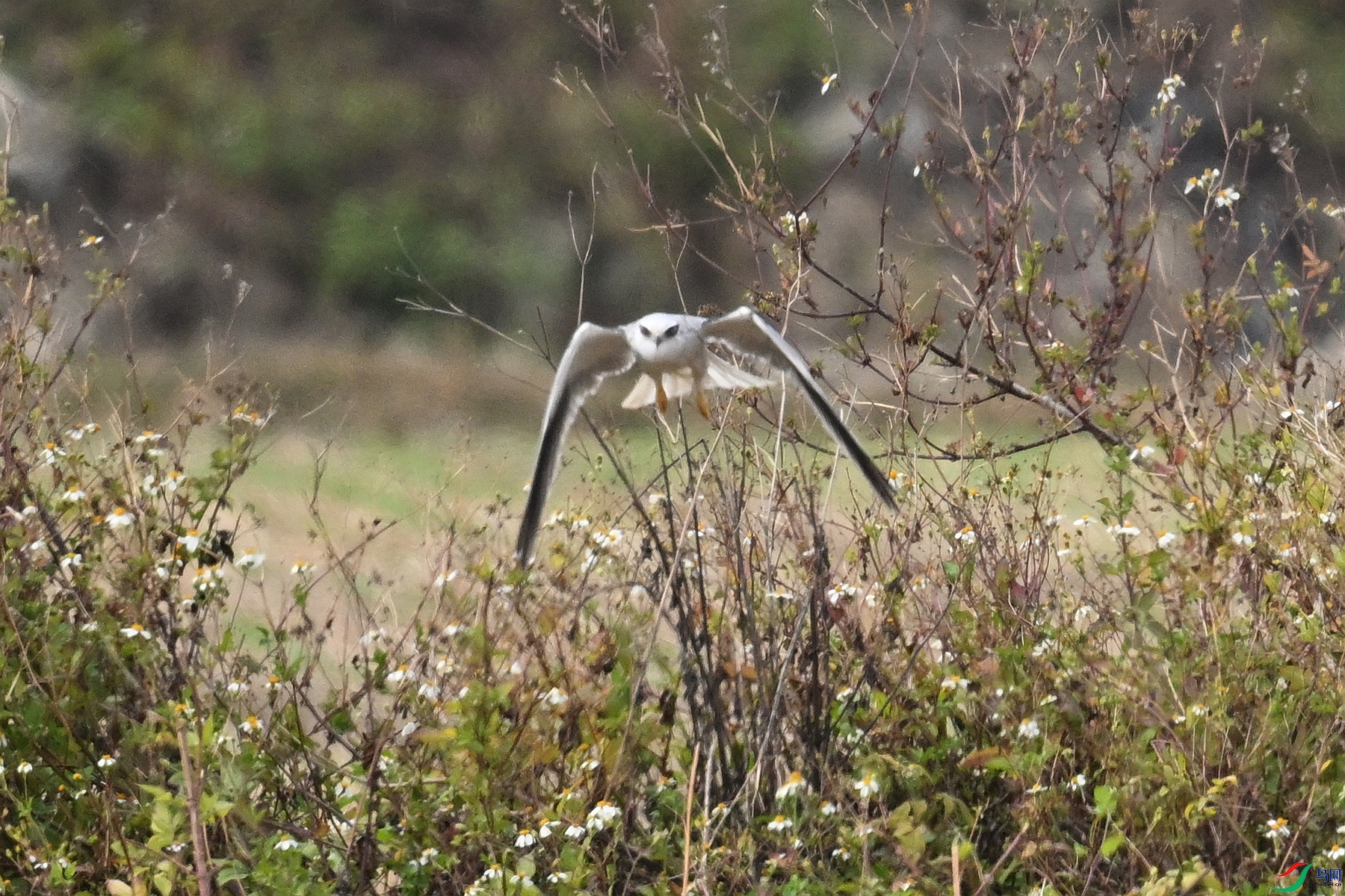 DSC_8034.JPG