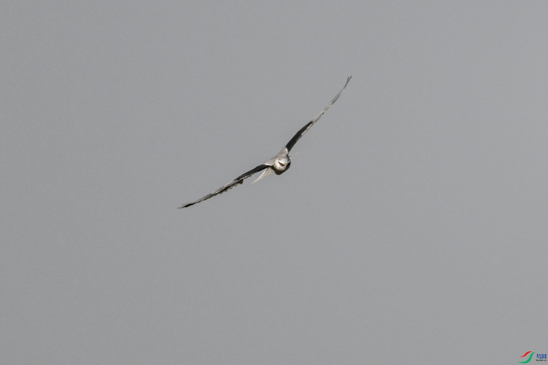 DSC_8180.JPG