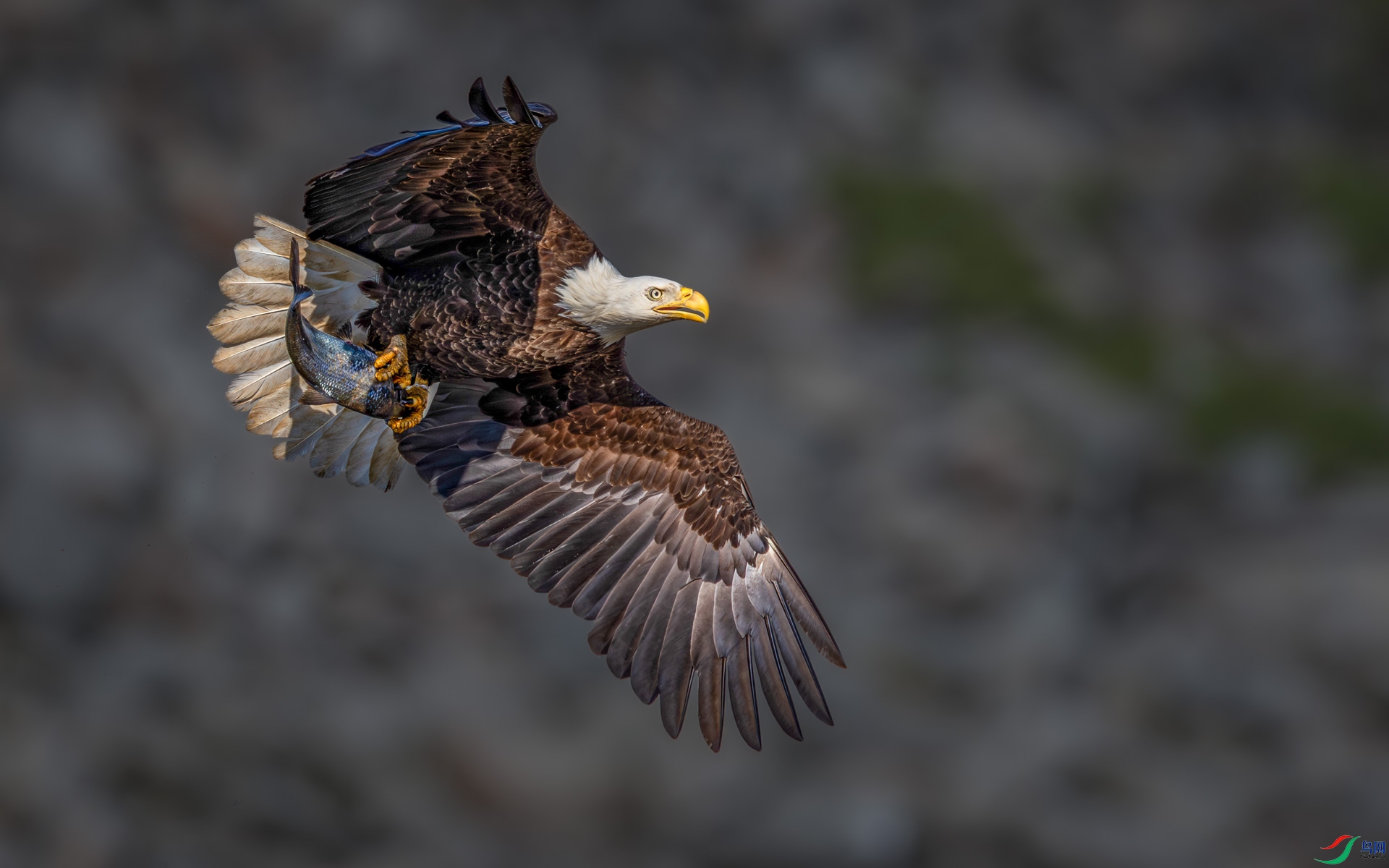 9I6A9522_1.jpg
