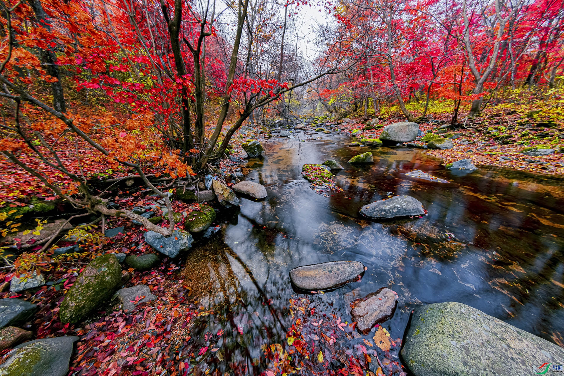 1J9A6789 ����.jpg