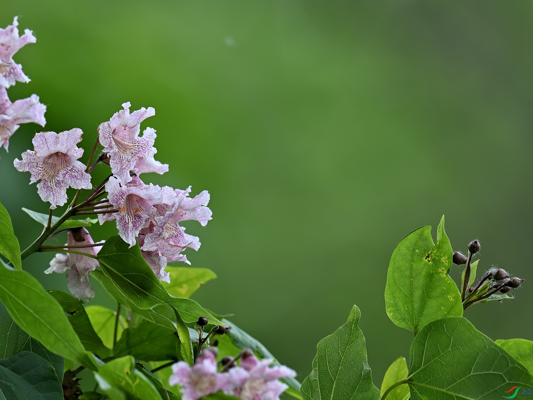 DSC_3961.JPG