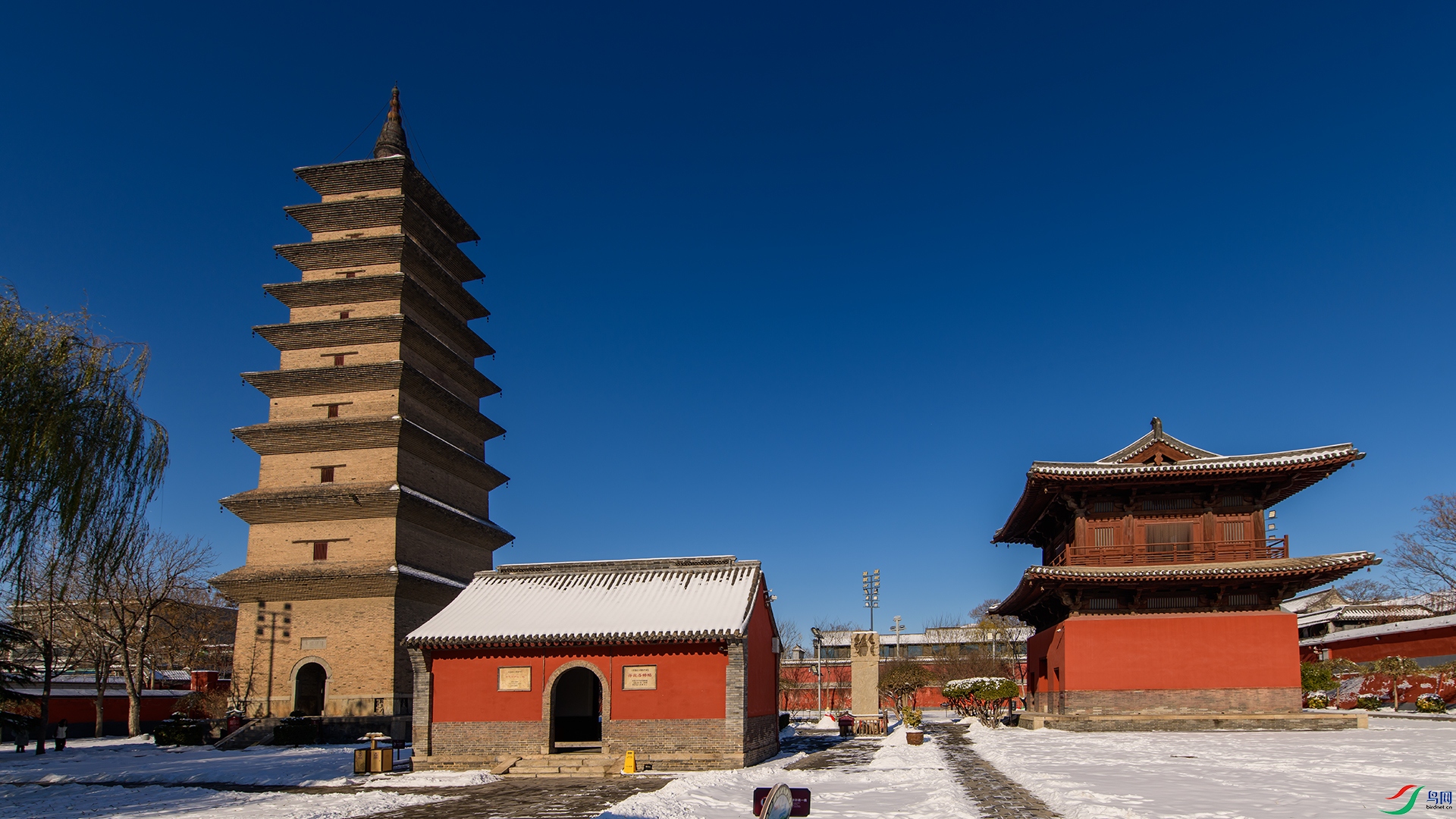 DSC_6890-20260417�ü�.jpg