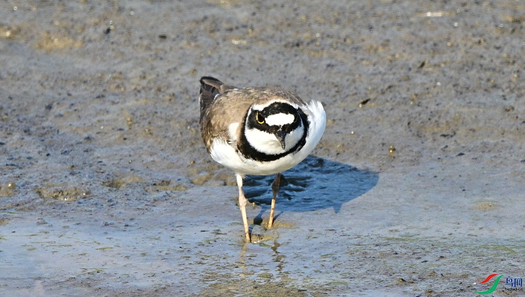 DSC_6150.JPG