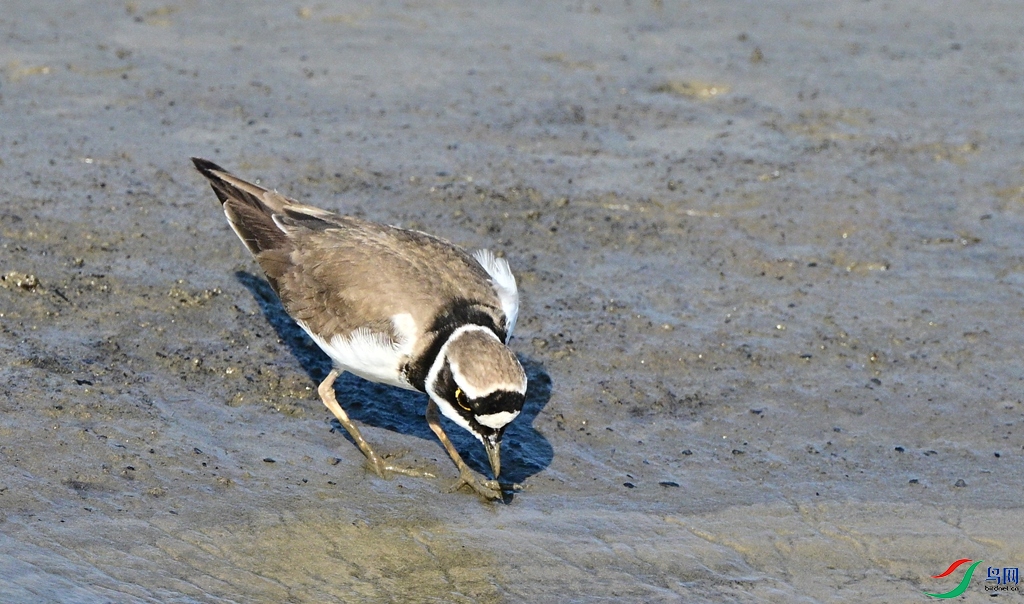 DSC_6172.JPG