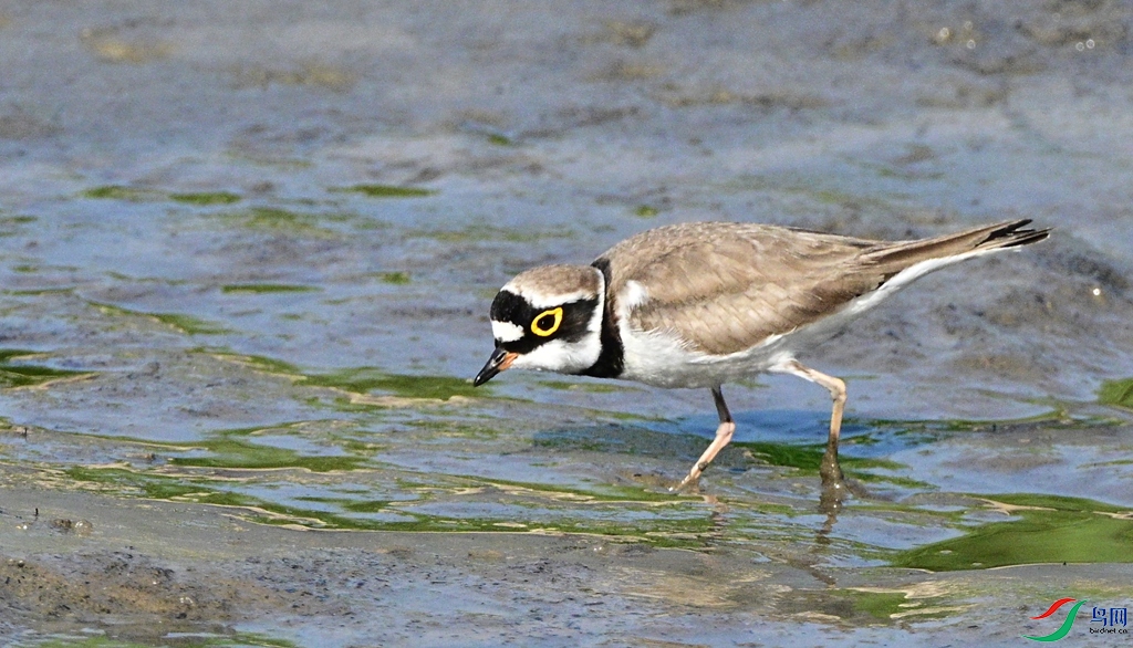 DSC_6730.JPG