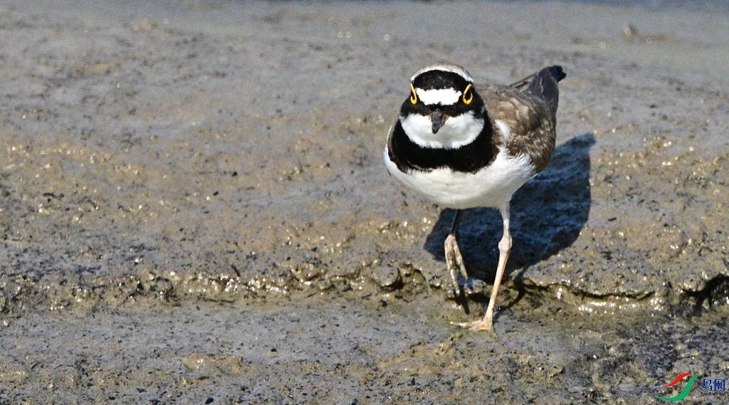 DSC_6807.JPG