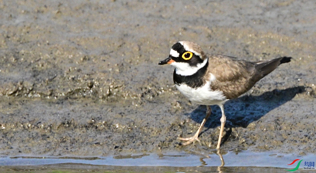 DSC_6822.JPG