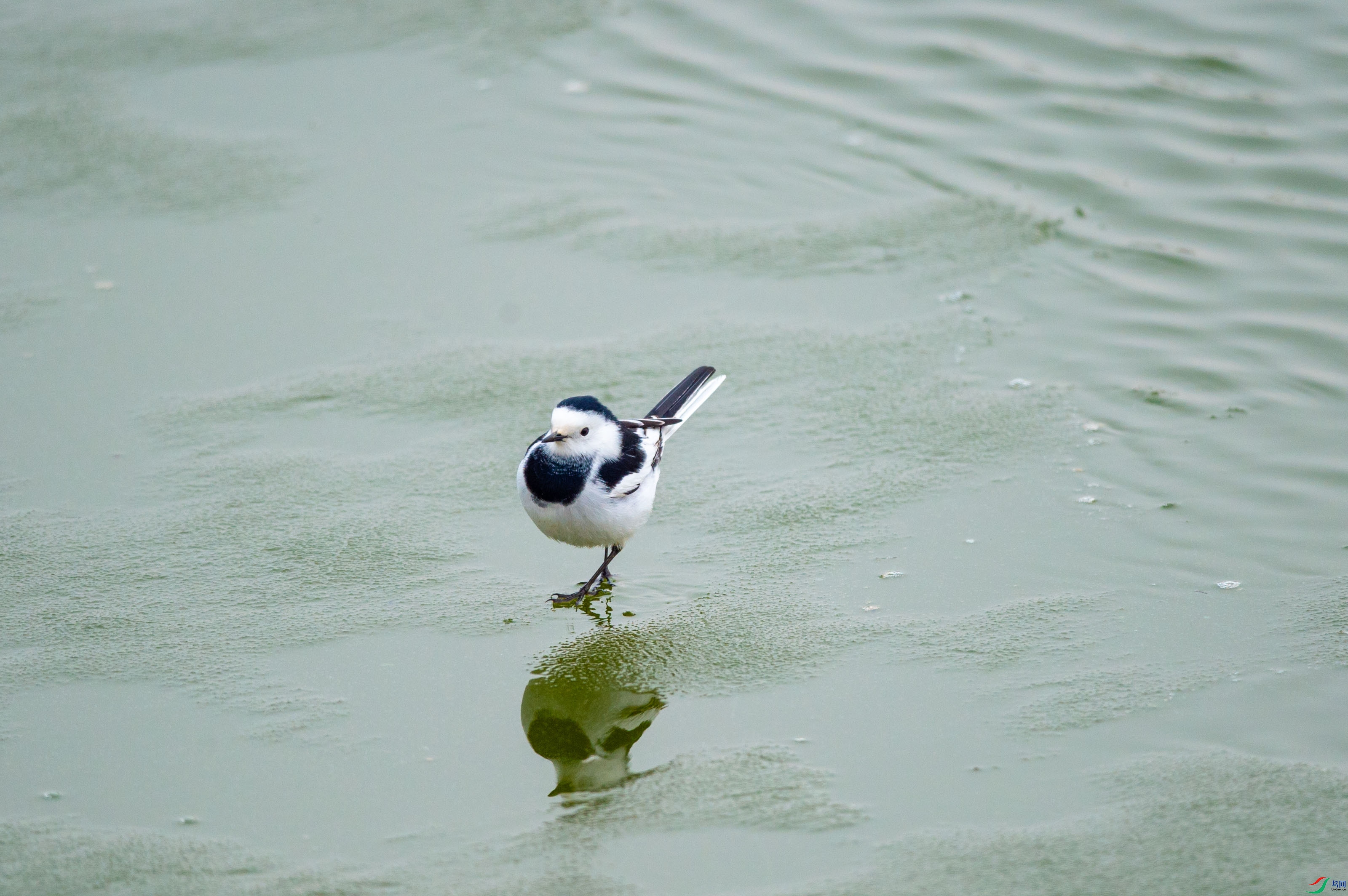 DSC_2019.jpg