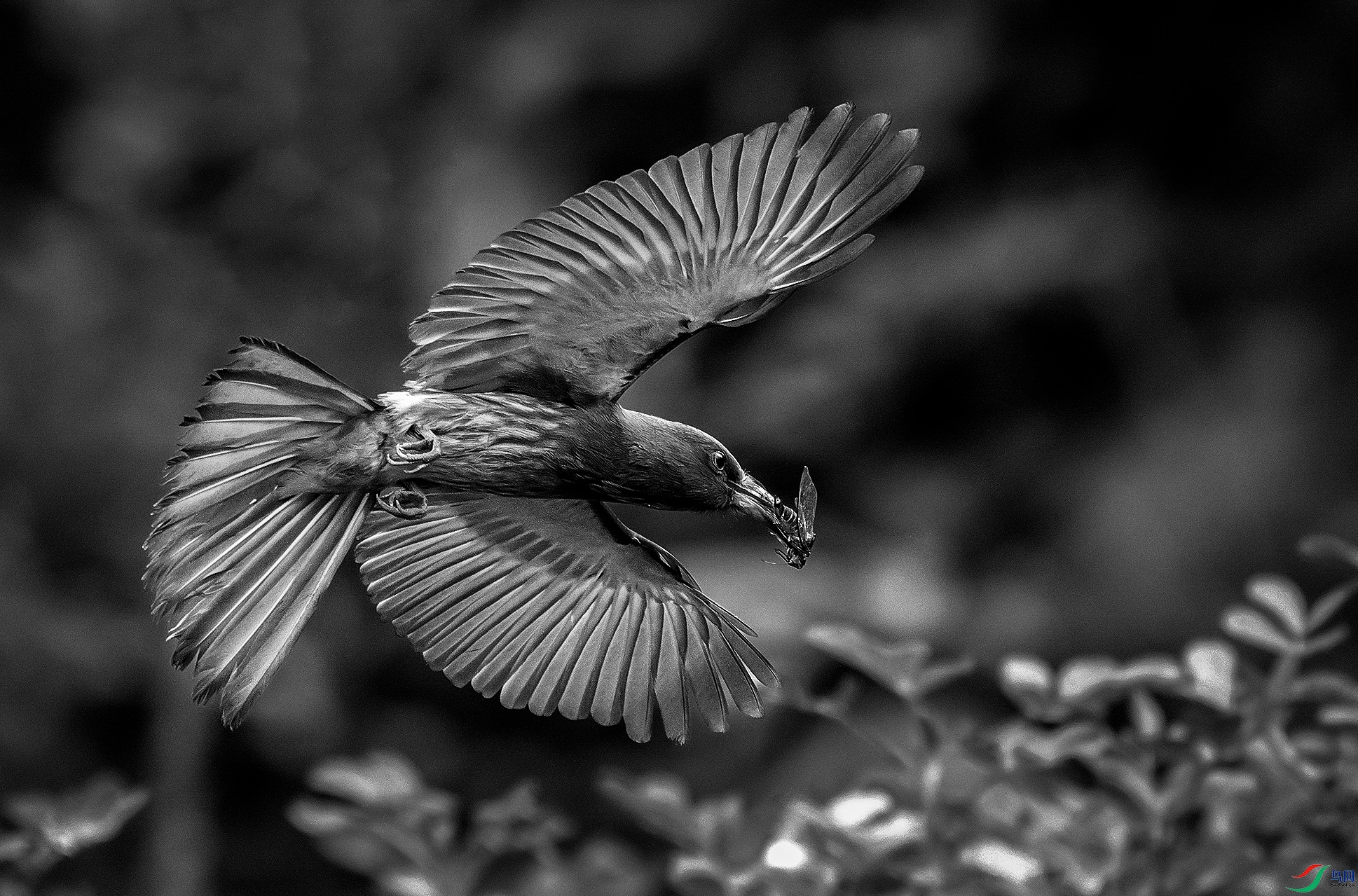 DSC_4769-1-1 ����.jpg