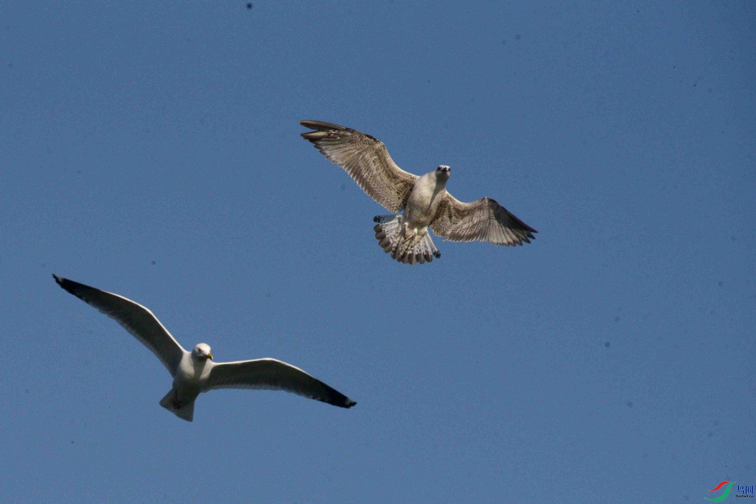 DSC_0390.JPG