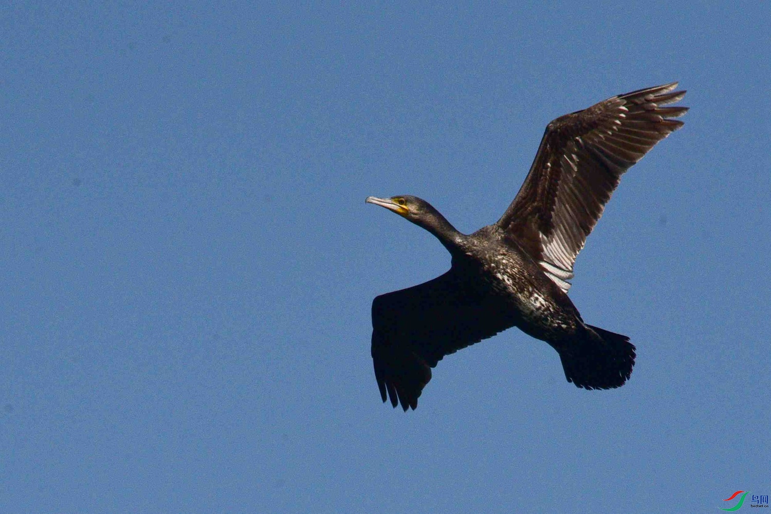 DSC_0942.JPG