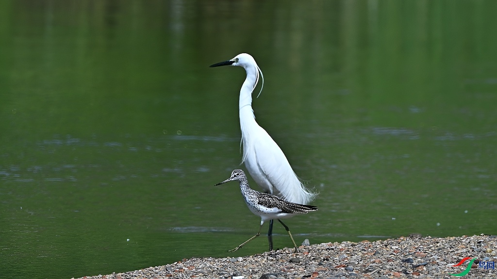 DSC_7361.JPG