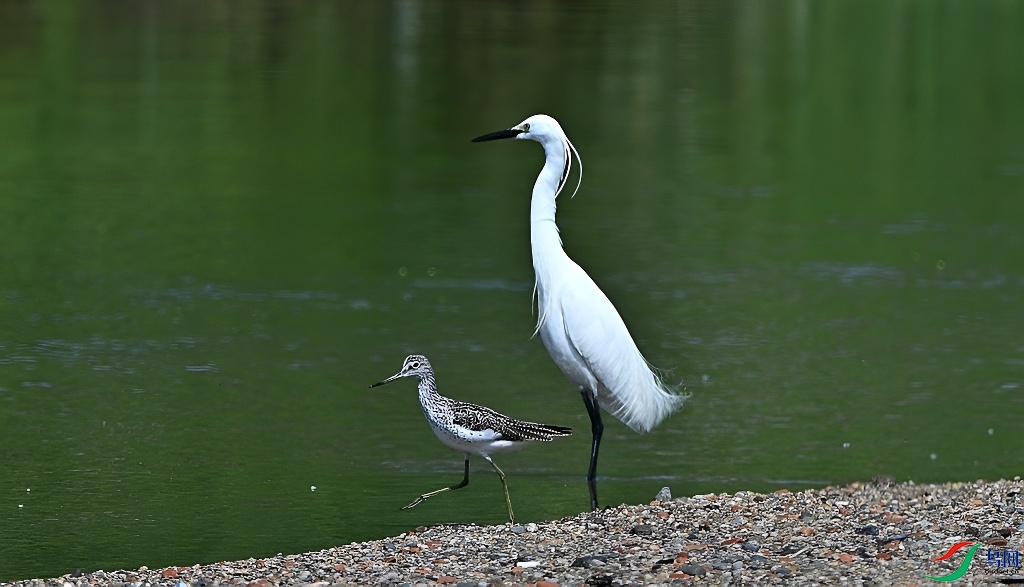 DSC_7362.JPG