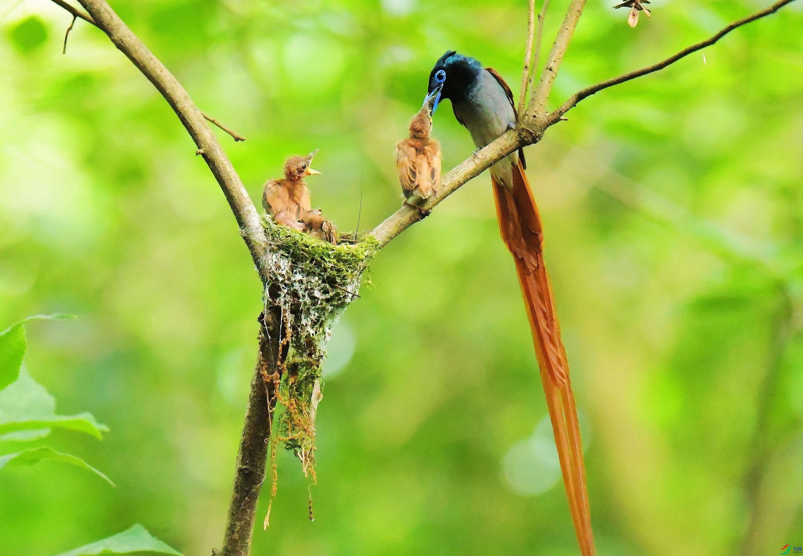 DSC_6058.JPG