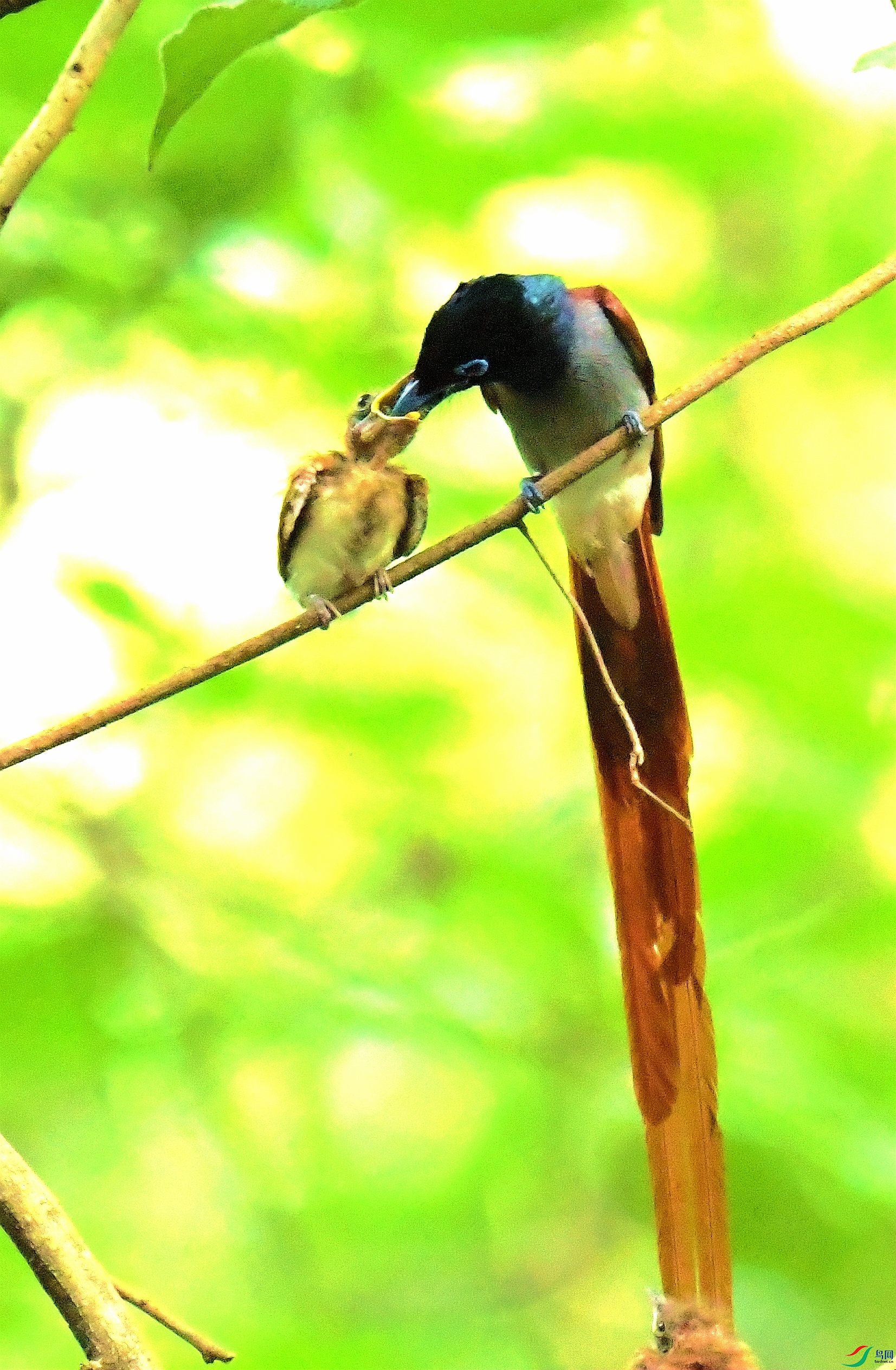 DSC_6062.JPG