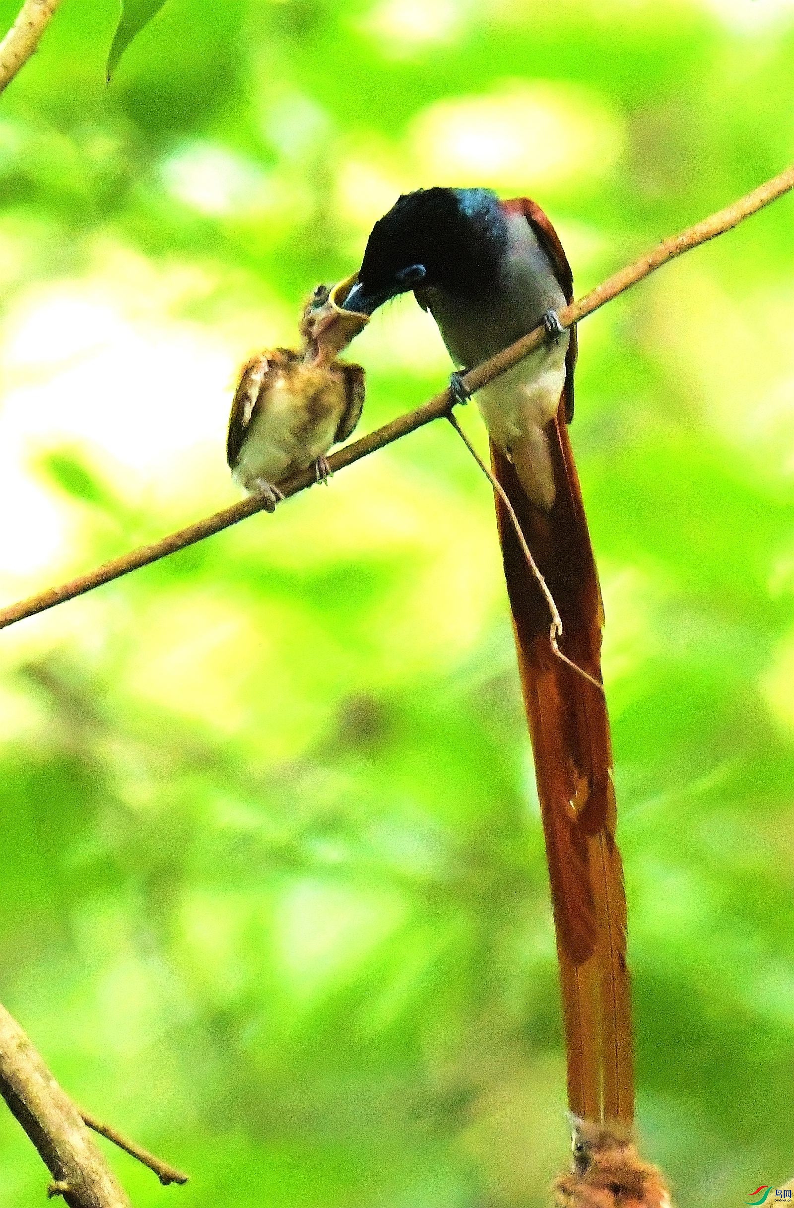 DSC_6064.JPG