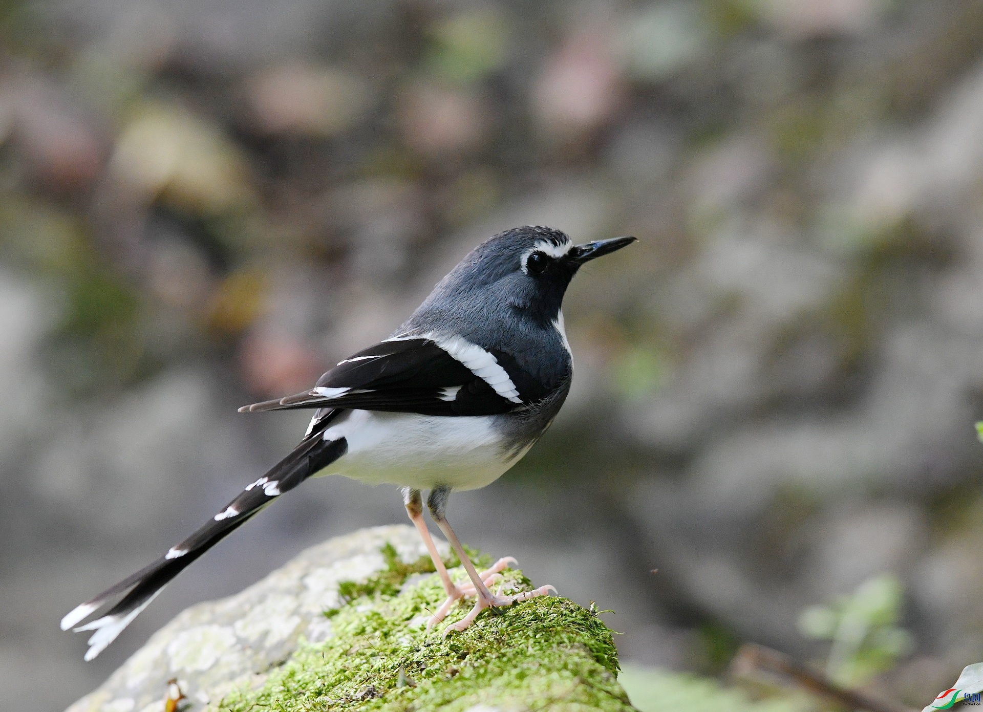 DSC_3597.jpg