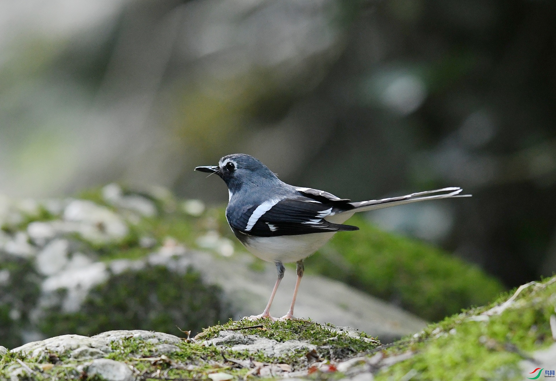 DSC_3593.jpg