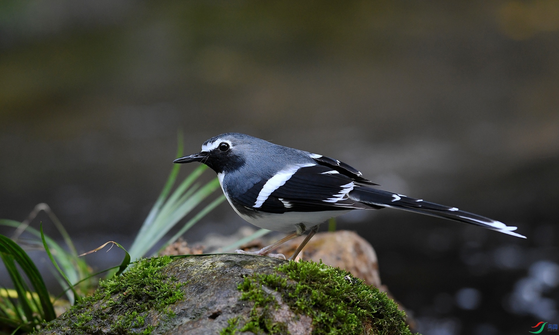DSC_3708.jpg