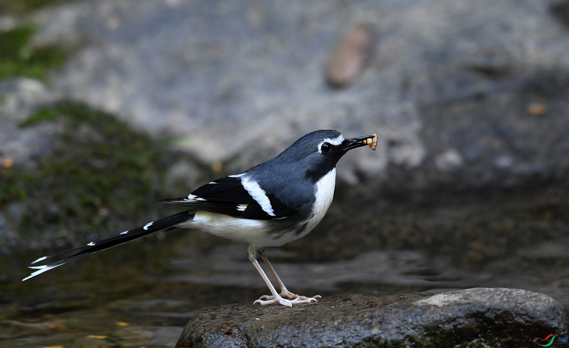 DSC_3642.jpg