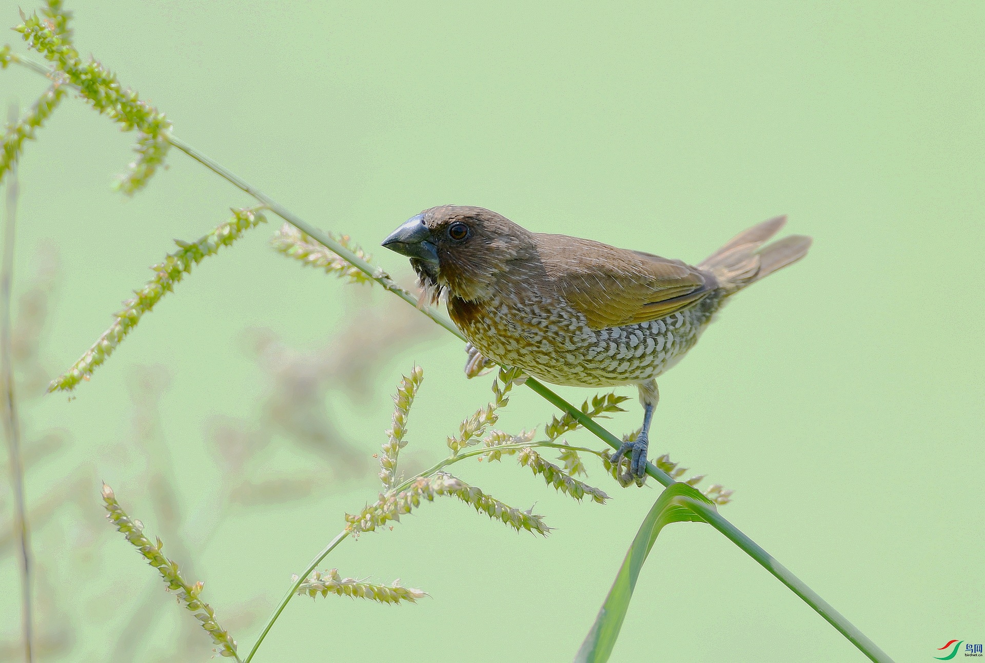 DSC_3123.jpg