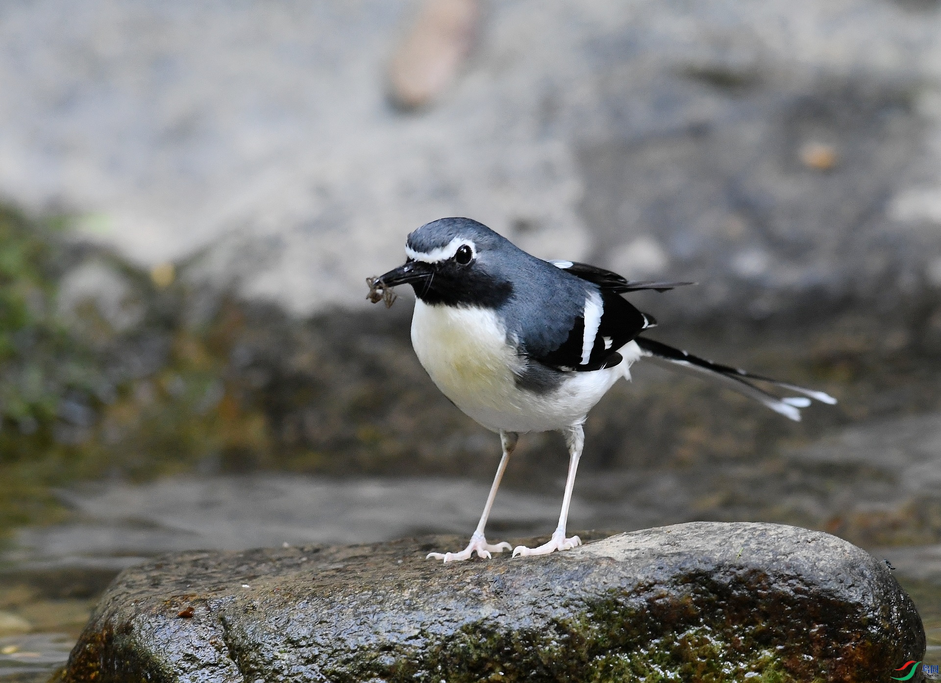 DSC_3623.jpg