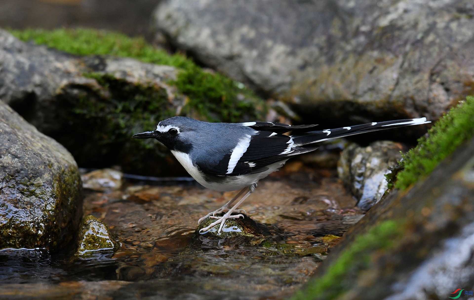 DSC_3619.jpg